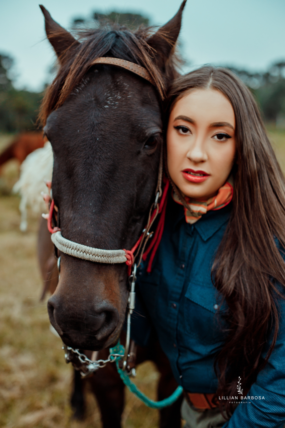 enasaio-serra-no-rio-do-rastro-fotogrfa-de-lauro-muller-fotografa-de-15-anos-quinze-anos