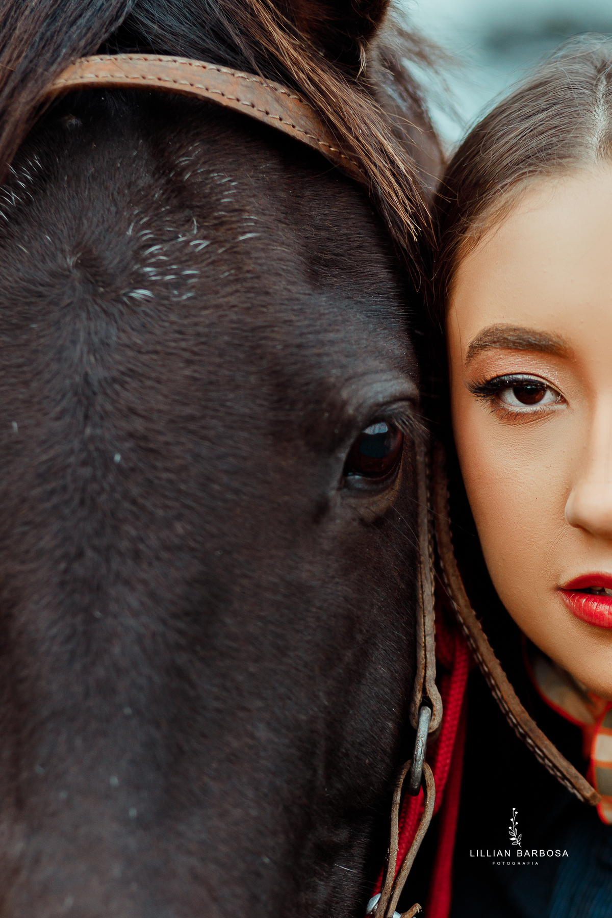 enasaio-serra-no-rio-do-rastro-fotogrfa-de-lauro-muller-fotografa-de-15-anos-quinze-anos