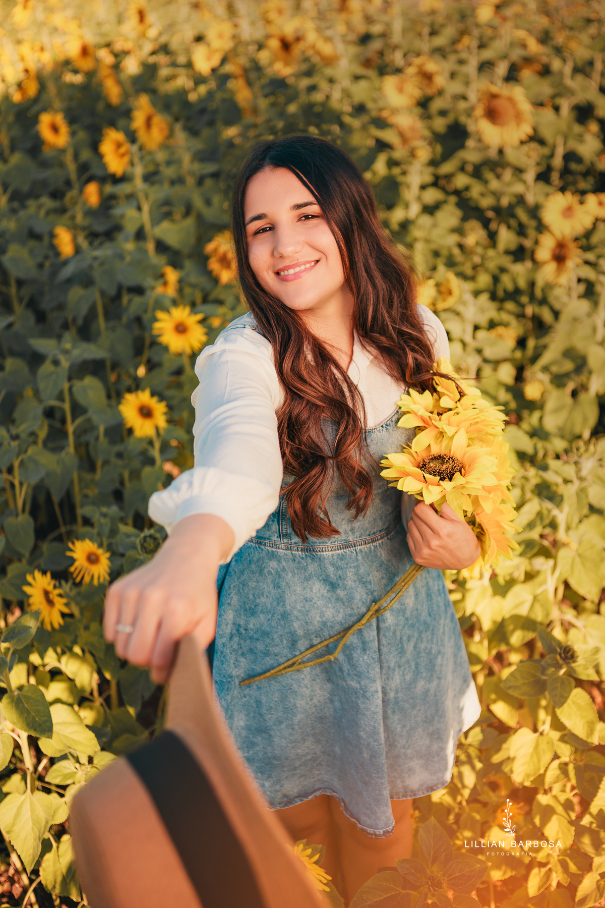 ensaio-girassois-fotografa-de-lauro-muller