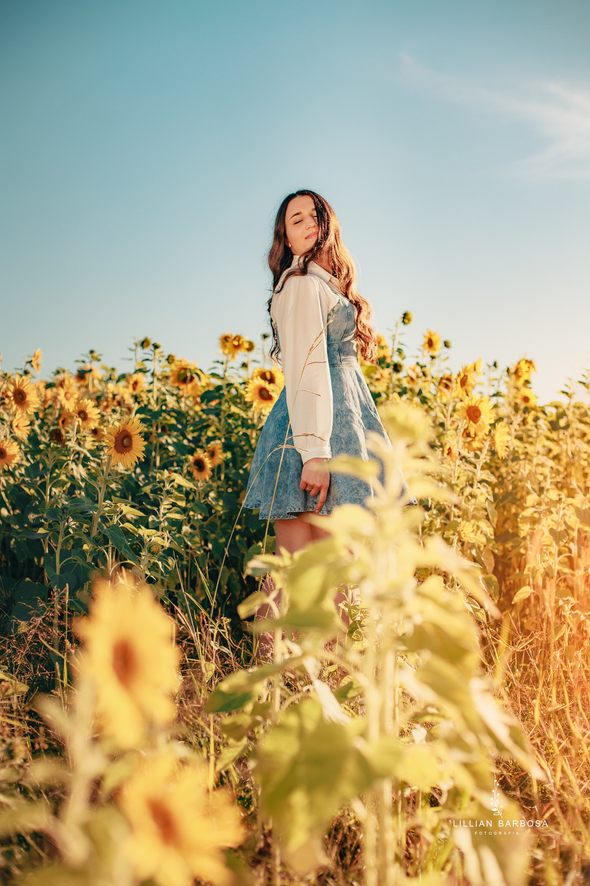 ensaio-girassois-fotografa-de-lauro-muller