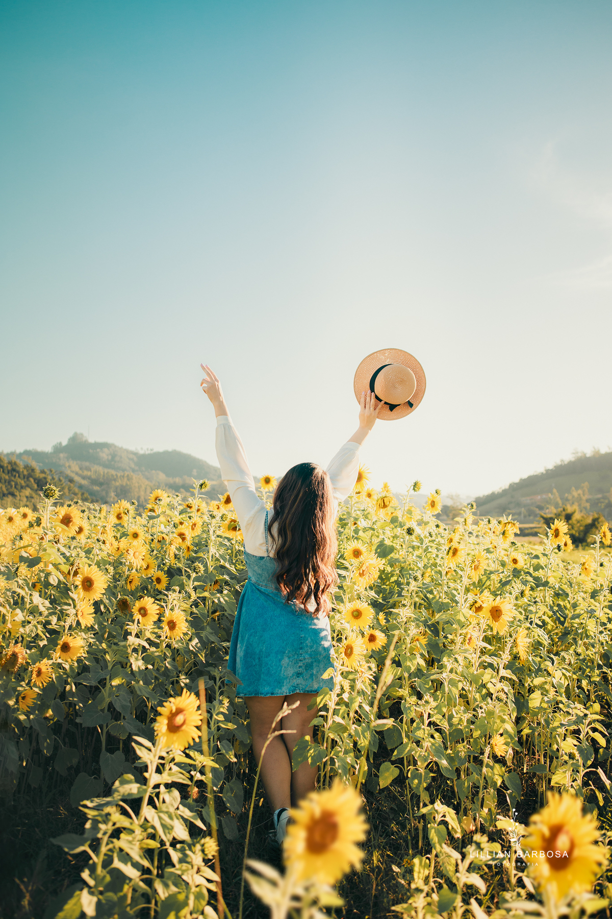 ensaio-girassois-fotografa-de-lauro-muller