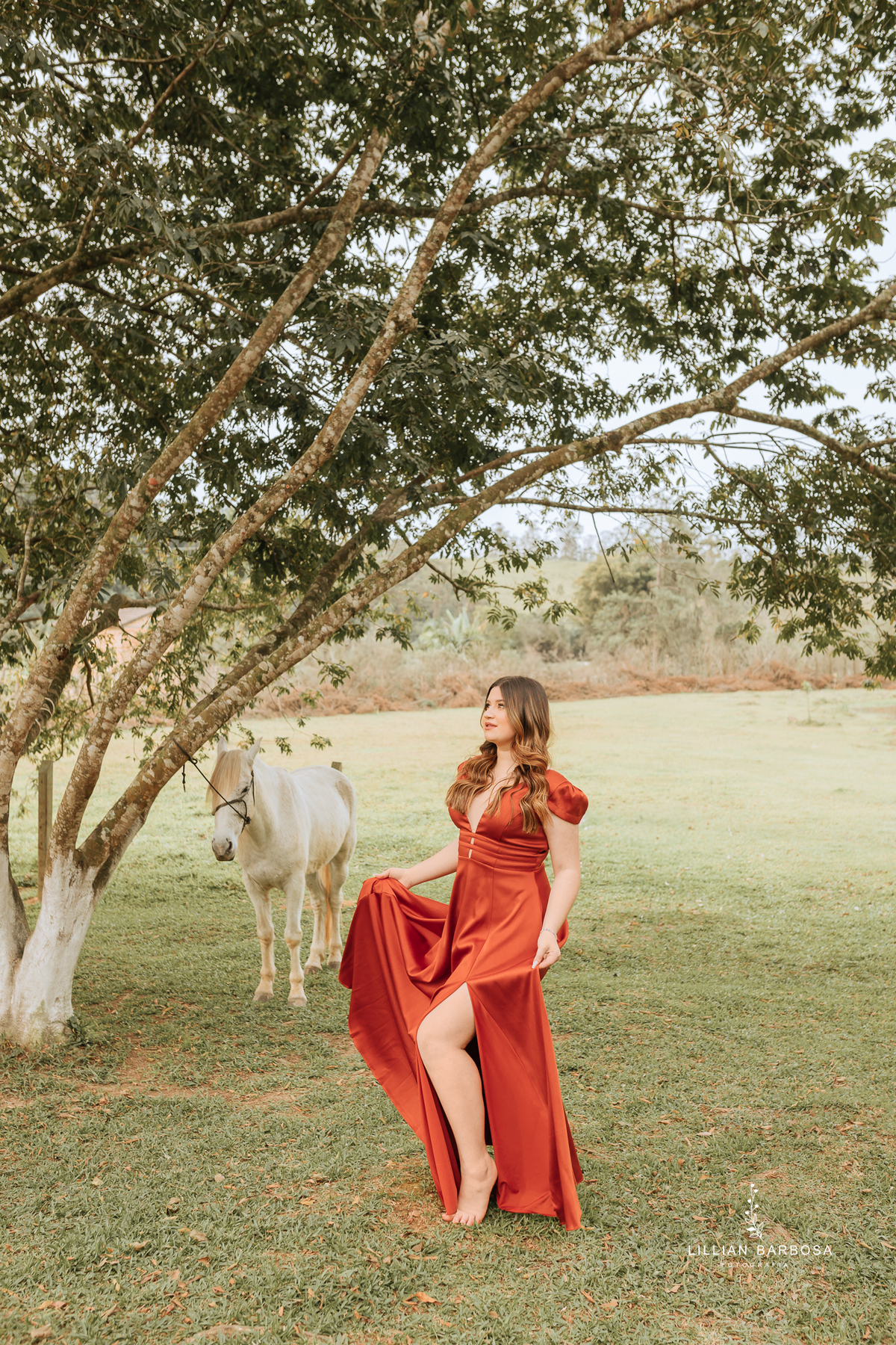 ensaio-de-quinze-anos-book-de-quinze-anos-no-atelie-daniela-nagel-com-cavalo-branco-mc-donalds--fotografa-de-lauro-muller-santa-catarina-