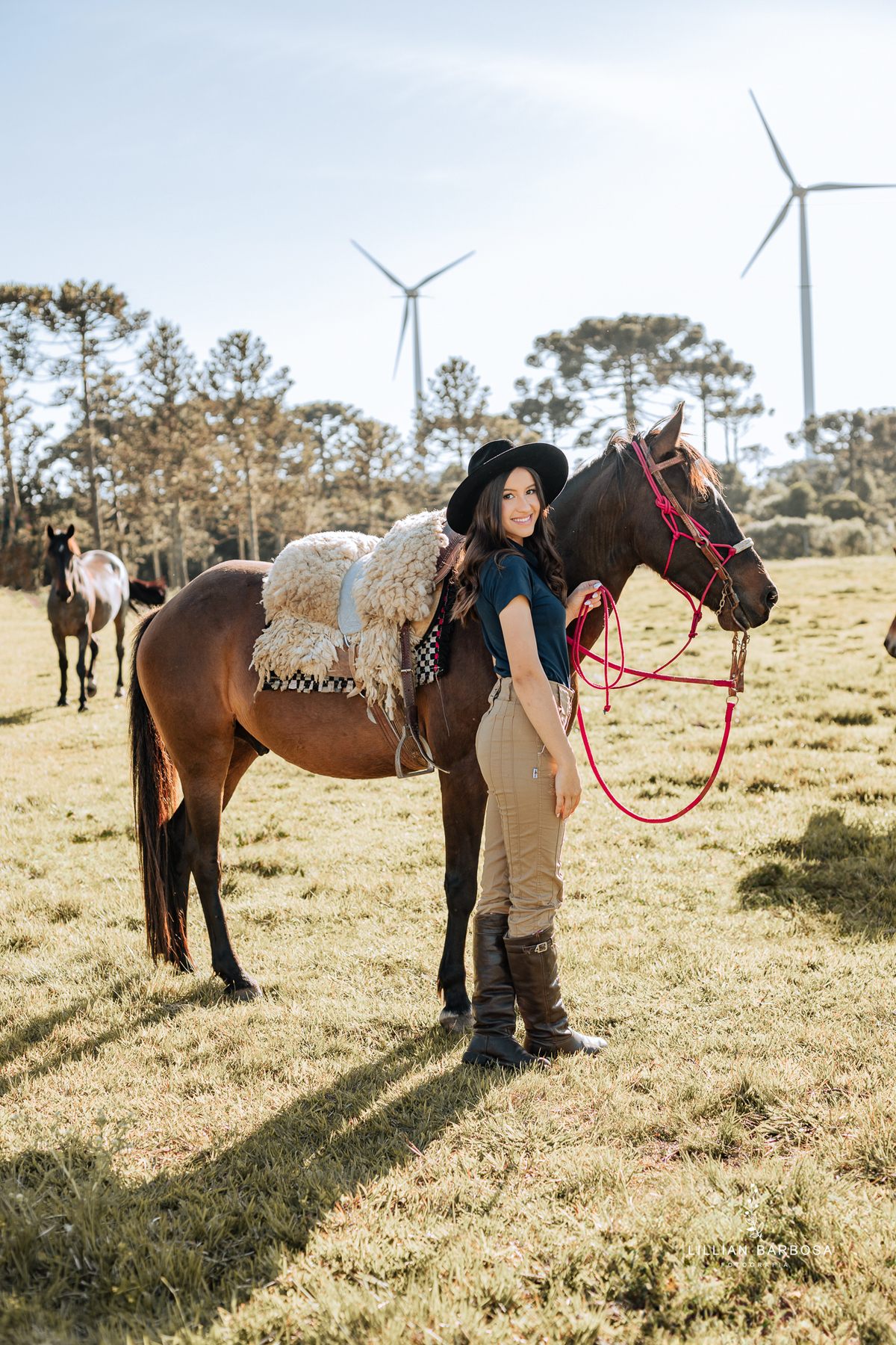 ensaio-de-quinze-anos-Serra-do-rio-do-rastro-vestido azu-e-cavalo-na-estrada--fotografa-de-lauro-muller-santa-catarina
