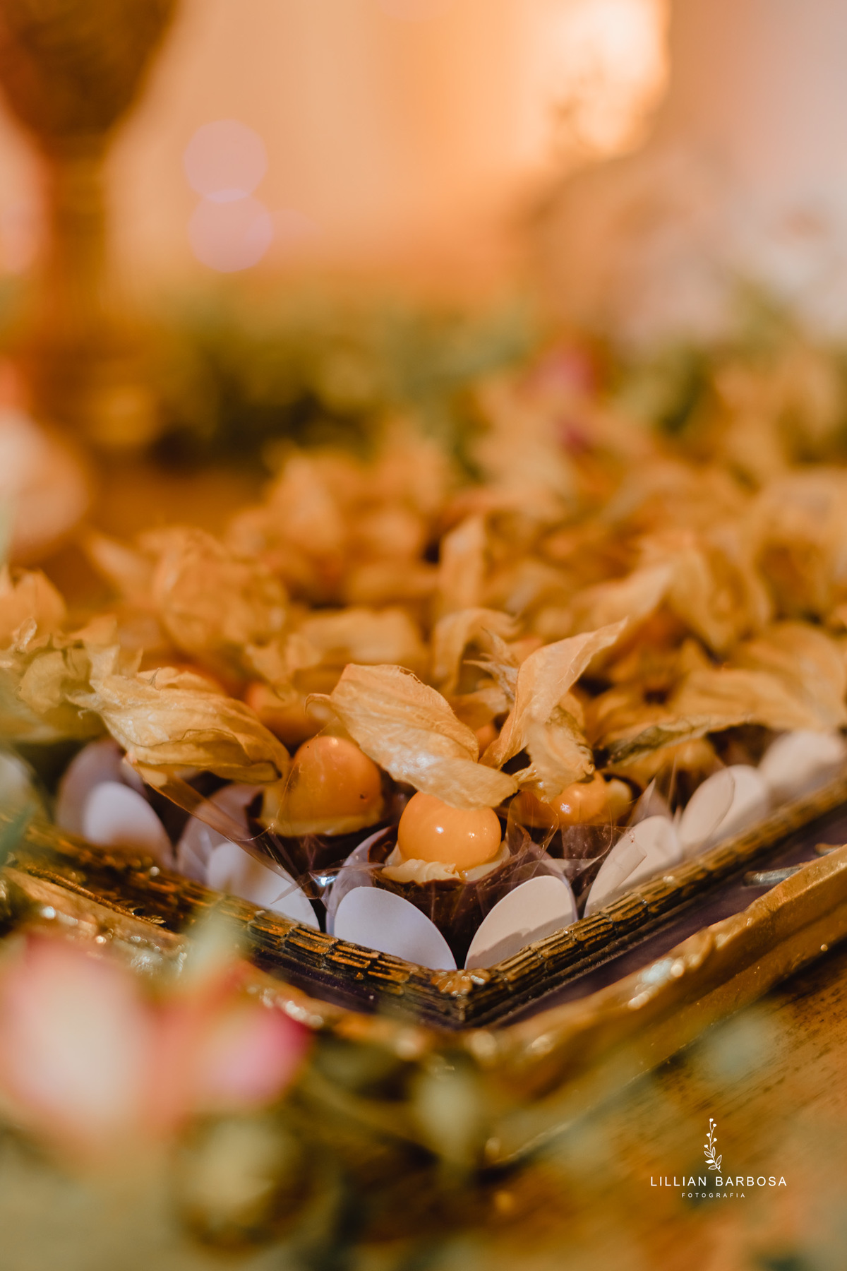 Festa-de-quinze-anos-vestido-Brilho-azul-fotografa-de-lauro-muller-santa-catarina