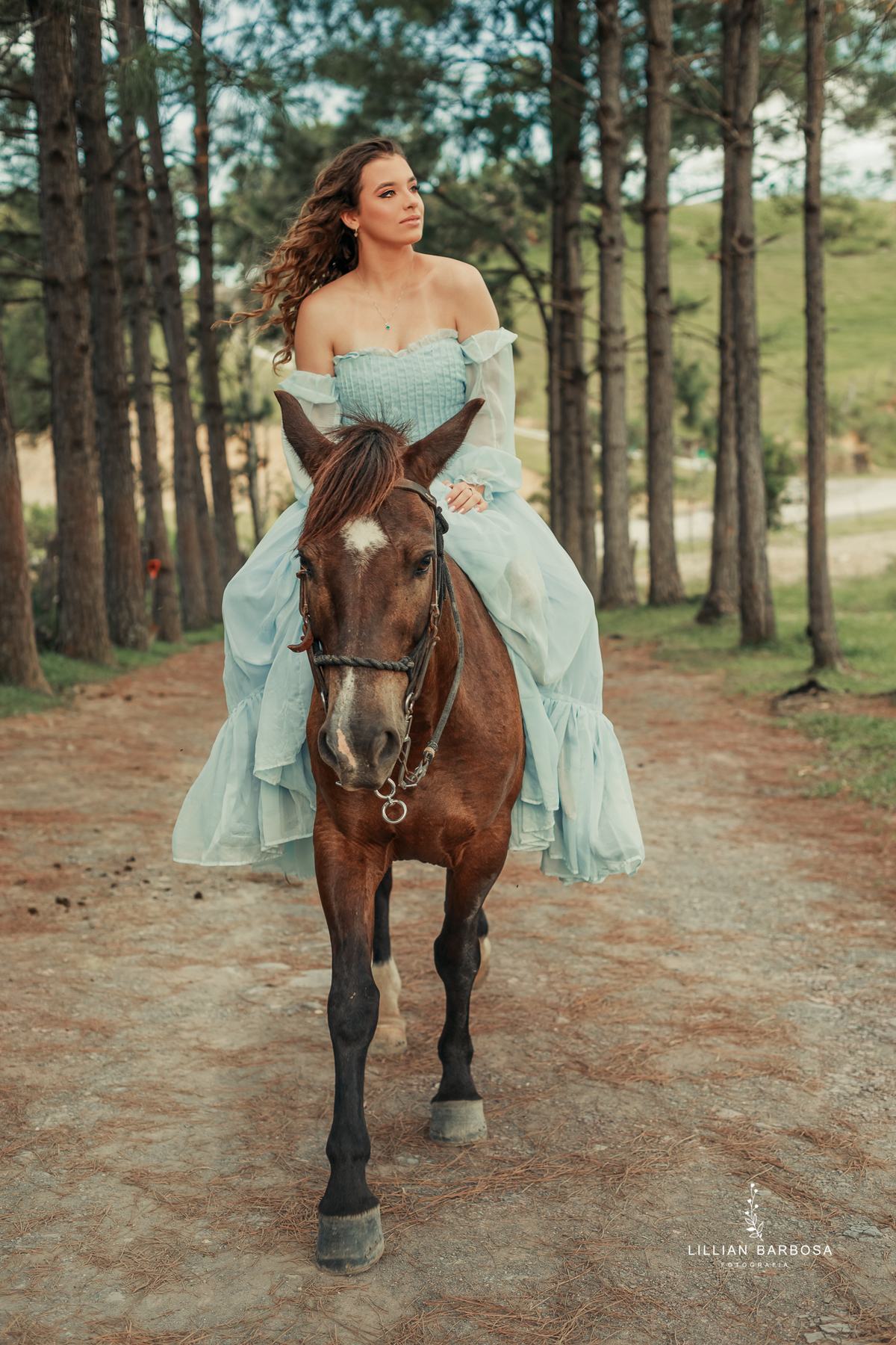 ensaio-de-quinze-anos-fazenda-sao-lorezo-sideropolis-vestido-rosa-roxo-prenda-piqueinique-fotografa-de-lauro-muller- fotografa-fotografa-de-sideropolis