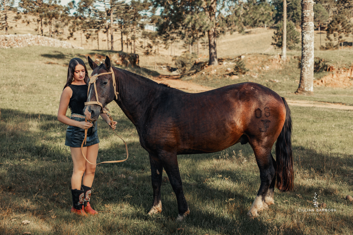 ensaio-de-quinze-anos-serra-do-rio-do-rastro-vestido-rosa-azul-conjunto-branco-fotografa-de-lauro-muller- fotografa-fotografa-de-orleans-fotografa-de-serra-do-rio-do-rastro-