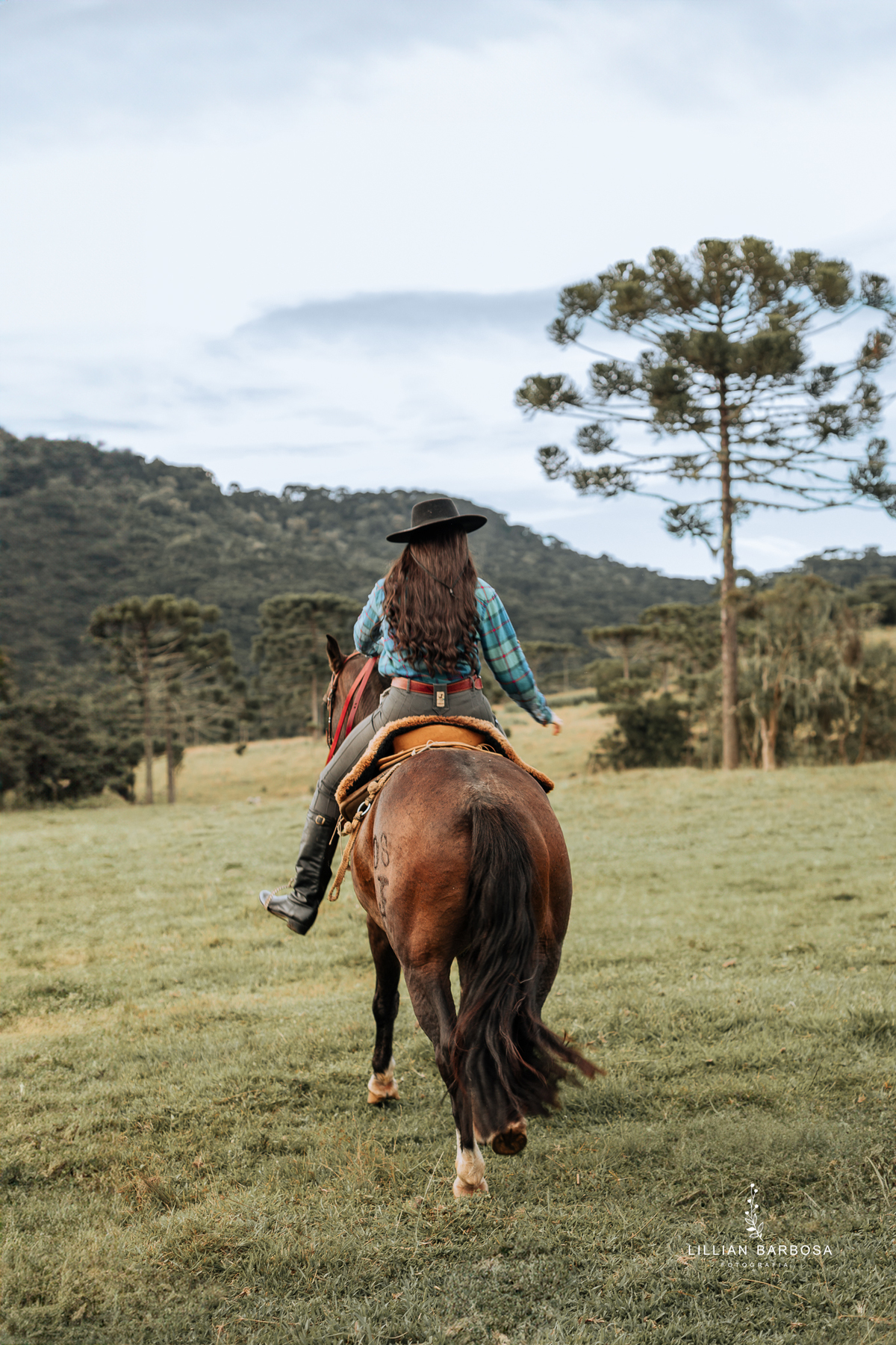 ensaio-de-quinze-anos-serra-do-rio-do-rastro-vestido-rosa-azul-conjunto-branco-fotografa-de-lauro-muller- fotografa-fotografa-de-orleans-fotografa-de-serra-do-rio-do-rastro-