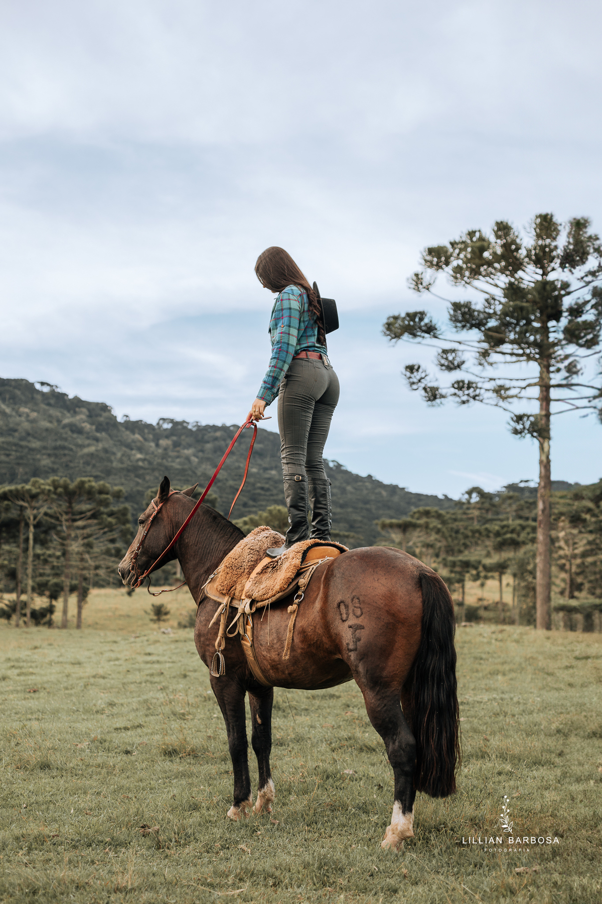 ensaio-de-quinze-anos-serra-do-rio-do-rastro-vestido-rosa-azul-conjunto-branco-fotografa-de-lauro-muller- fotografa-fotografa-de-orleans-fotografa-de-serra-do-rio-do-rastro-