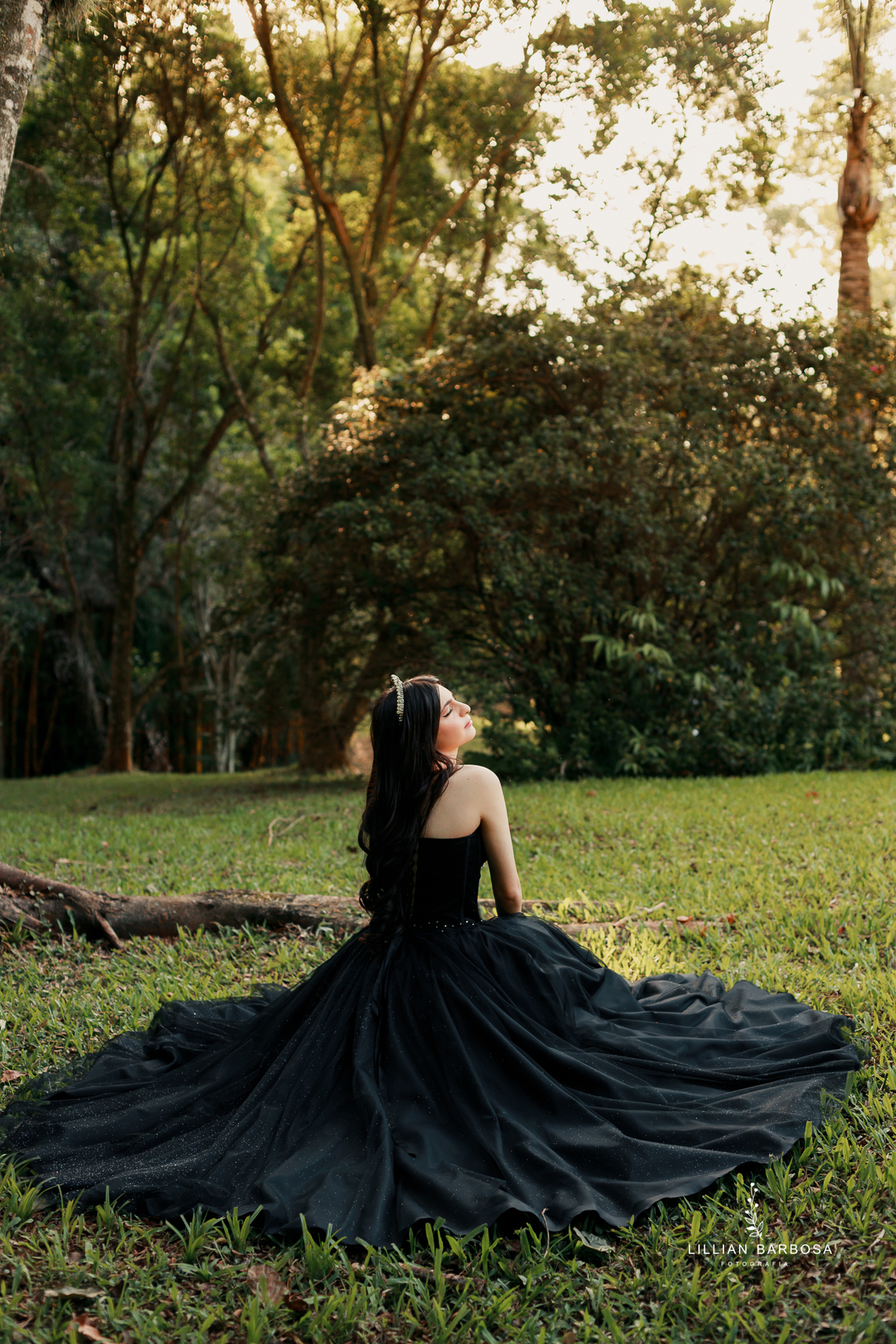 fiffteen-larissa-ensaio-de-quinze-anos--ensaio-no-castelo-britanico-fifteens-da-lillian-barbosa-fotogrtafa-de-cocal-do-sul-fotografa-de-lauro muller-fotografa-delauroi-muller-a-melhor-da-regiao (1)