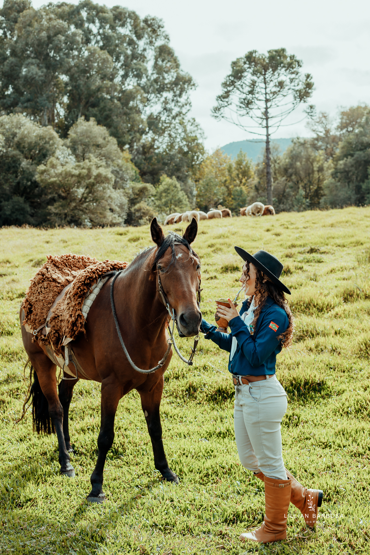ensaio-de-quinze-anos-cavalo-sitio-jarim-secreto-ville-de-france-de-urubici-vestido-delicado-vestido-barbie-fotografa-de-urubici-santa-catarina-fotografa-da-serra-gaucha-fotografa-de-lauro muller-