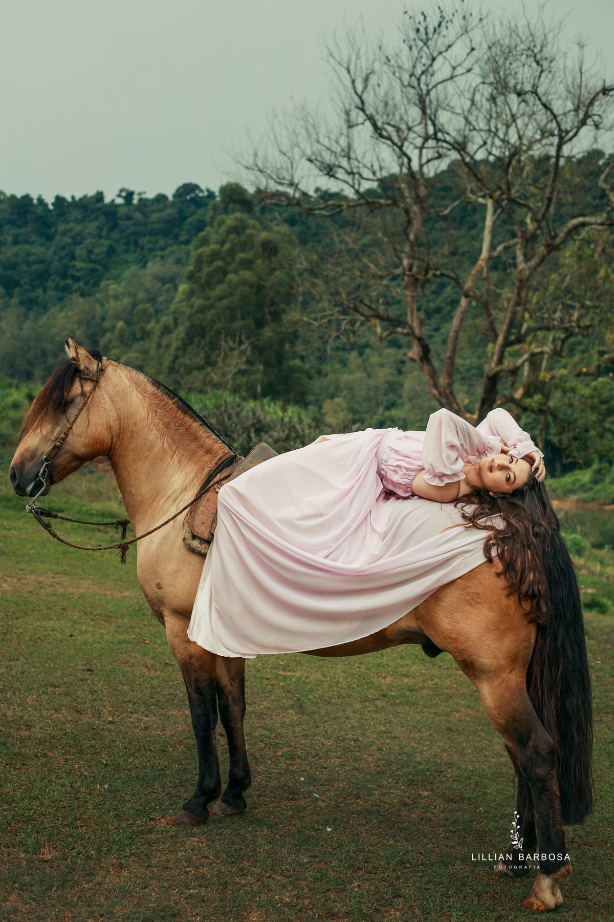 ensaio-de-dezoito-anos-com-cavalo-baloes-vestido-rosa-no-sitio-fotogaraf-de-orleans-fotografa-de-lauro-muller-fotografa-destaque-do-ano-de-2023-