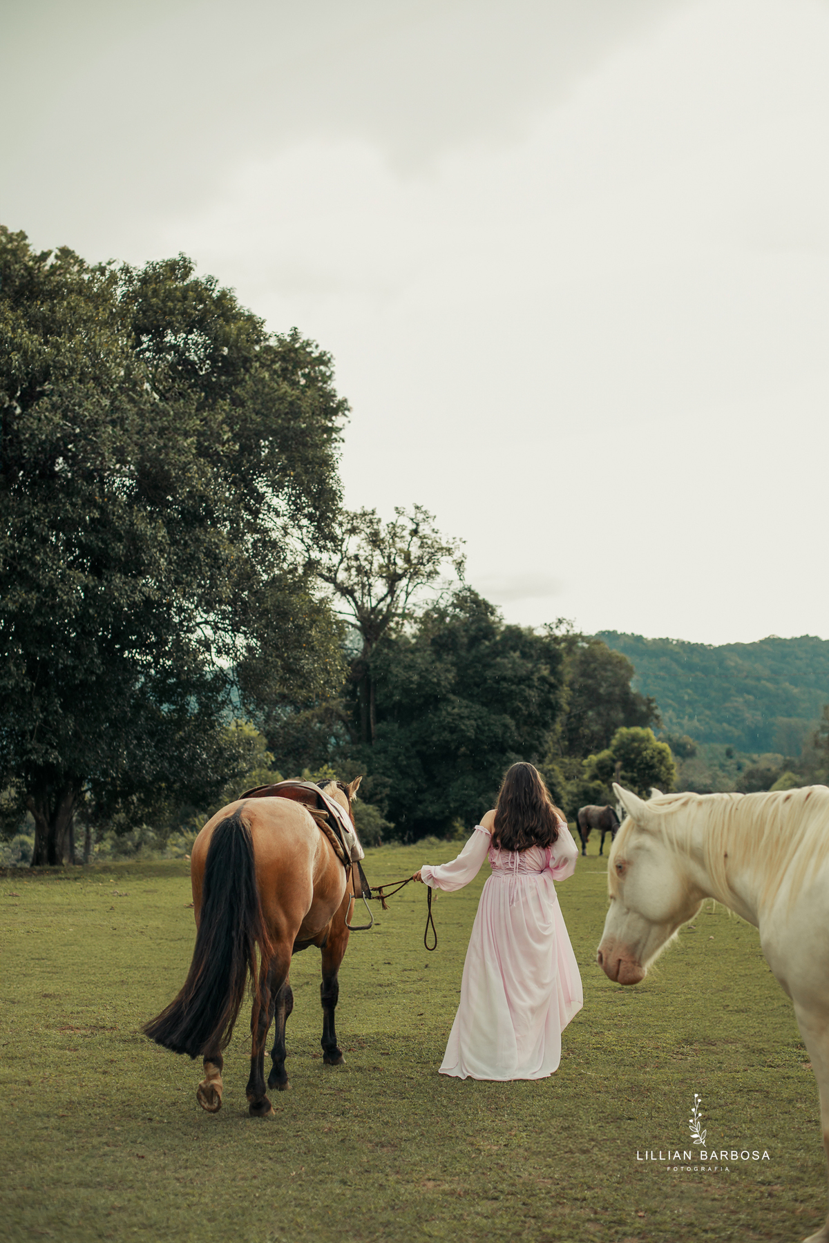 ensaio-de-dezoito-anos-com-cavalo-baloes-vestido-rosa-no-sitio-fotogaraf-de-orleans-fotografa-de-lauro-muller-fotografa-destaque-do-ano-de-2023-