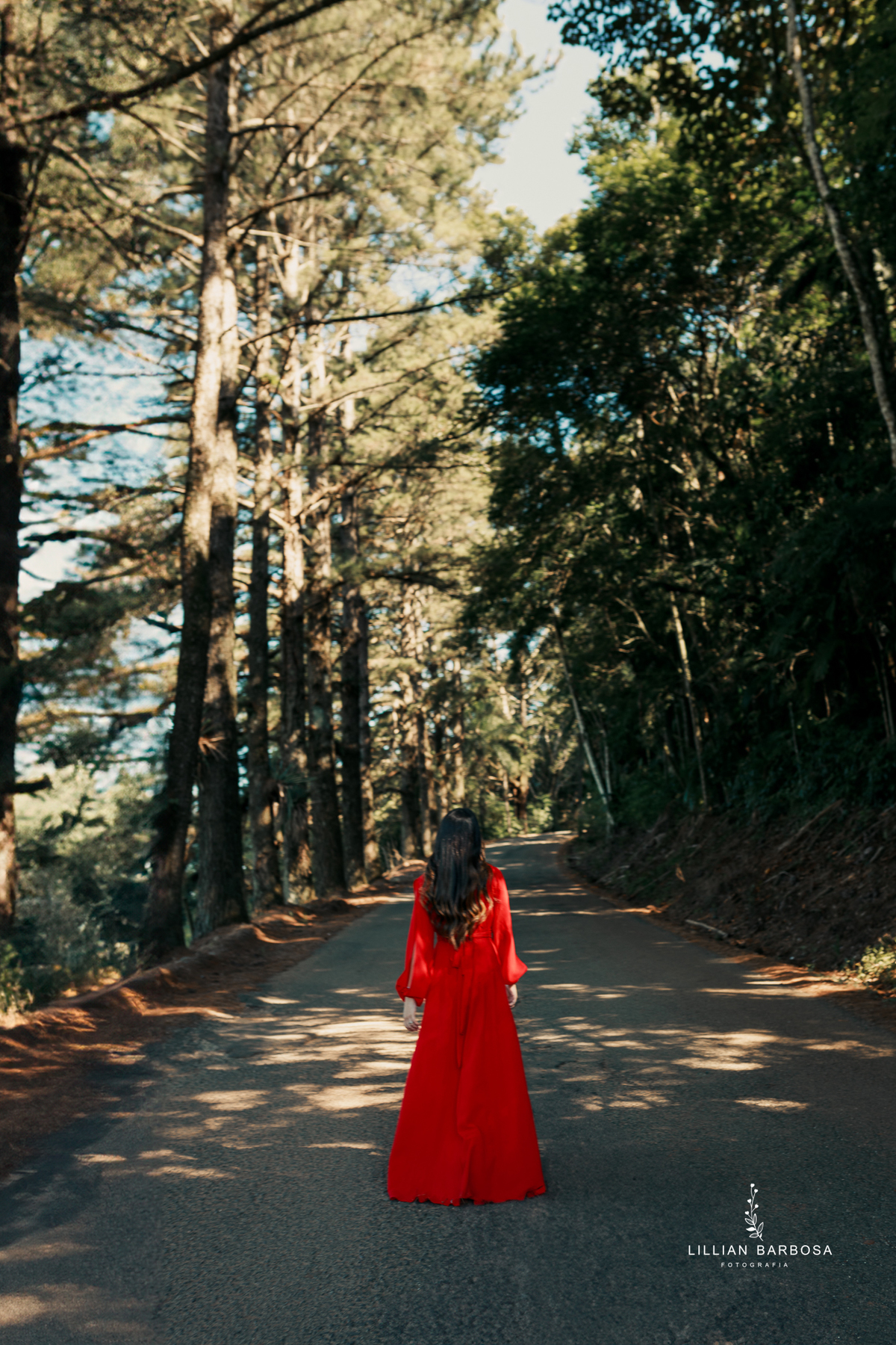 ensaio-de-quinze anos-ensaio-externo-em-lauro-muller-santa-catarina-ensaio-na-nova-veneza-vestido-azul-rosa-vermelho-ensaio-noestudio-da-lillian-barbosa-fotografia-fotogr