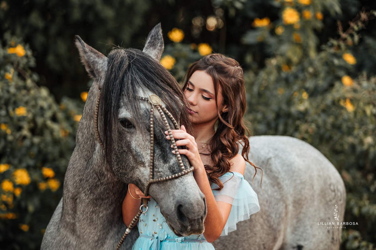 ensaio-de-quinze anos-ensaio-externo-em-treze-de-maio--castelo-belvedere-santa-catarina-vestido-rosa-vestido-azul-saia-de-bale-fotgrafa-de-treze-de-maio-lillian-barbosa-fotografia-fotografa-de-