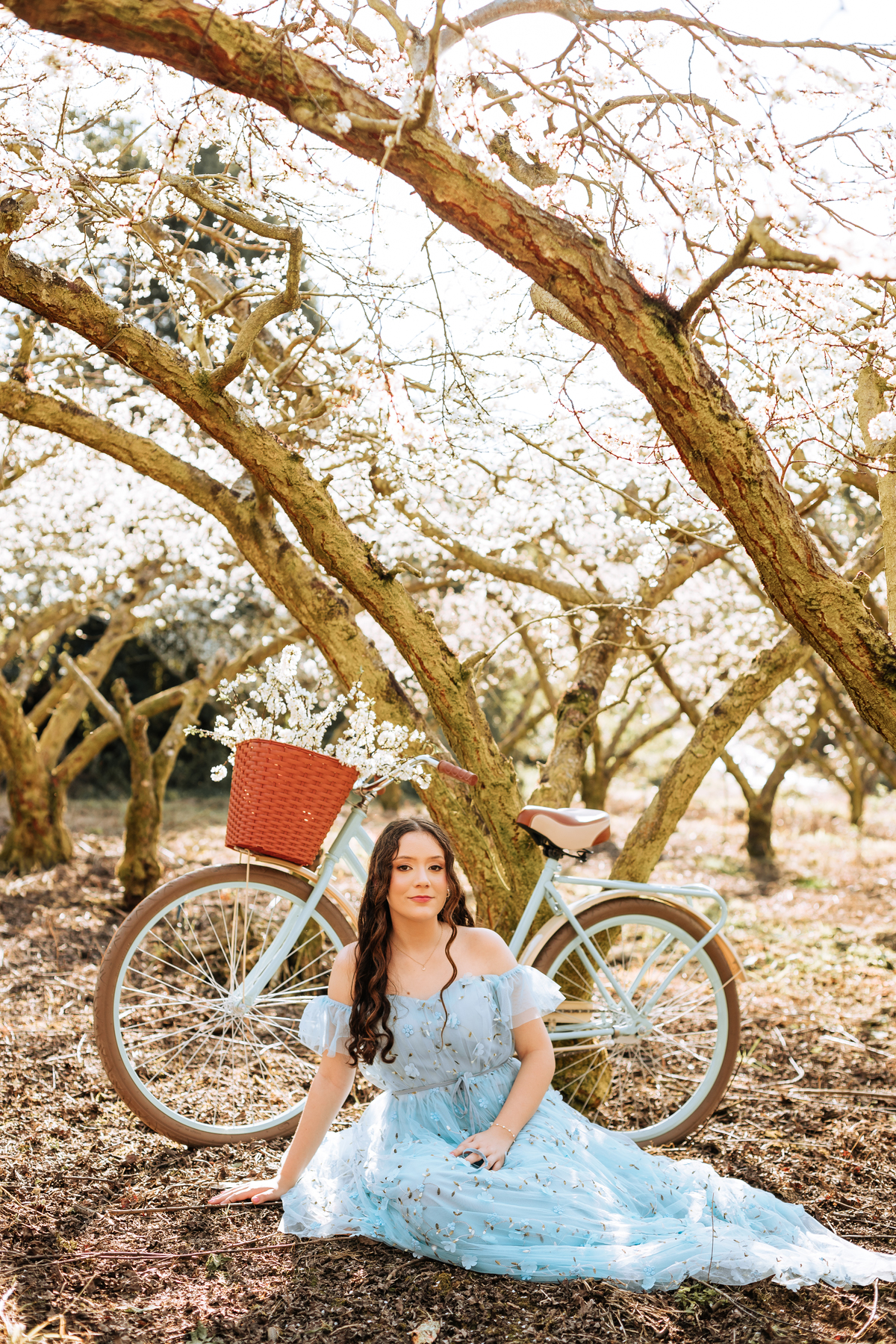 ensaio-de-quinze-anos-em-um-pomar-de-pessegos-em-urussanga-fotografa-de-urussanga-fotografa-de0lauro muller-