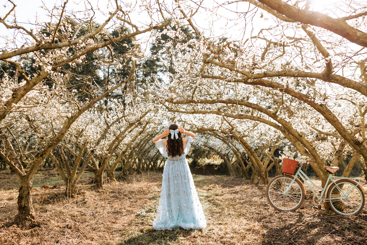 ensaio-de-quinze-anos-em-um-pomar-de-pessegos-em-urussanga-fotografa-de-urussanga-fotografa-de0lauro muller-
