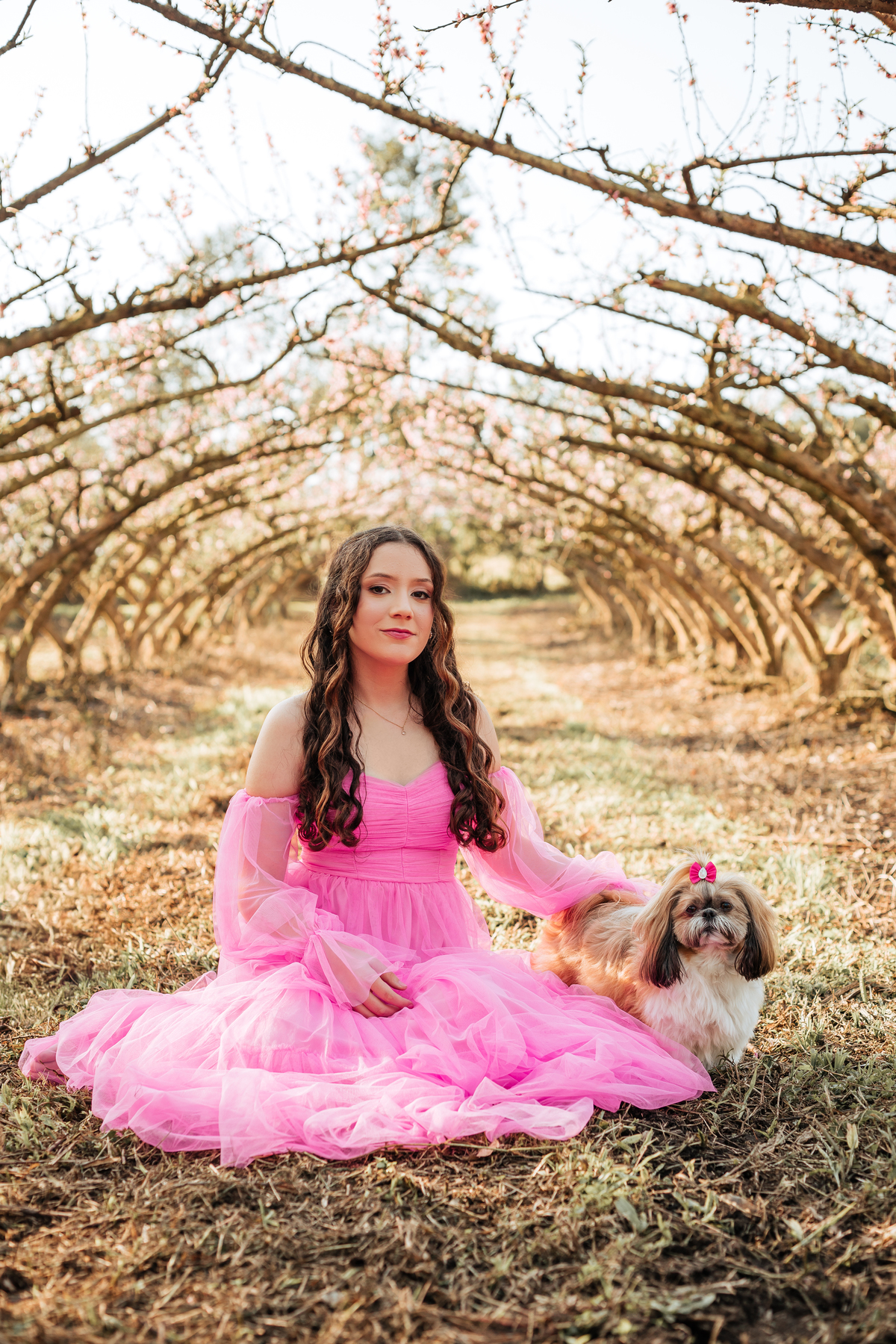 ensaio-de-quinze-anos-em-um-pomar-de-pessegos-em-urussanga-fotografa-de-urussanga-fotografa-de0lauro muller-