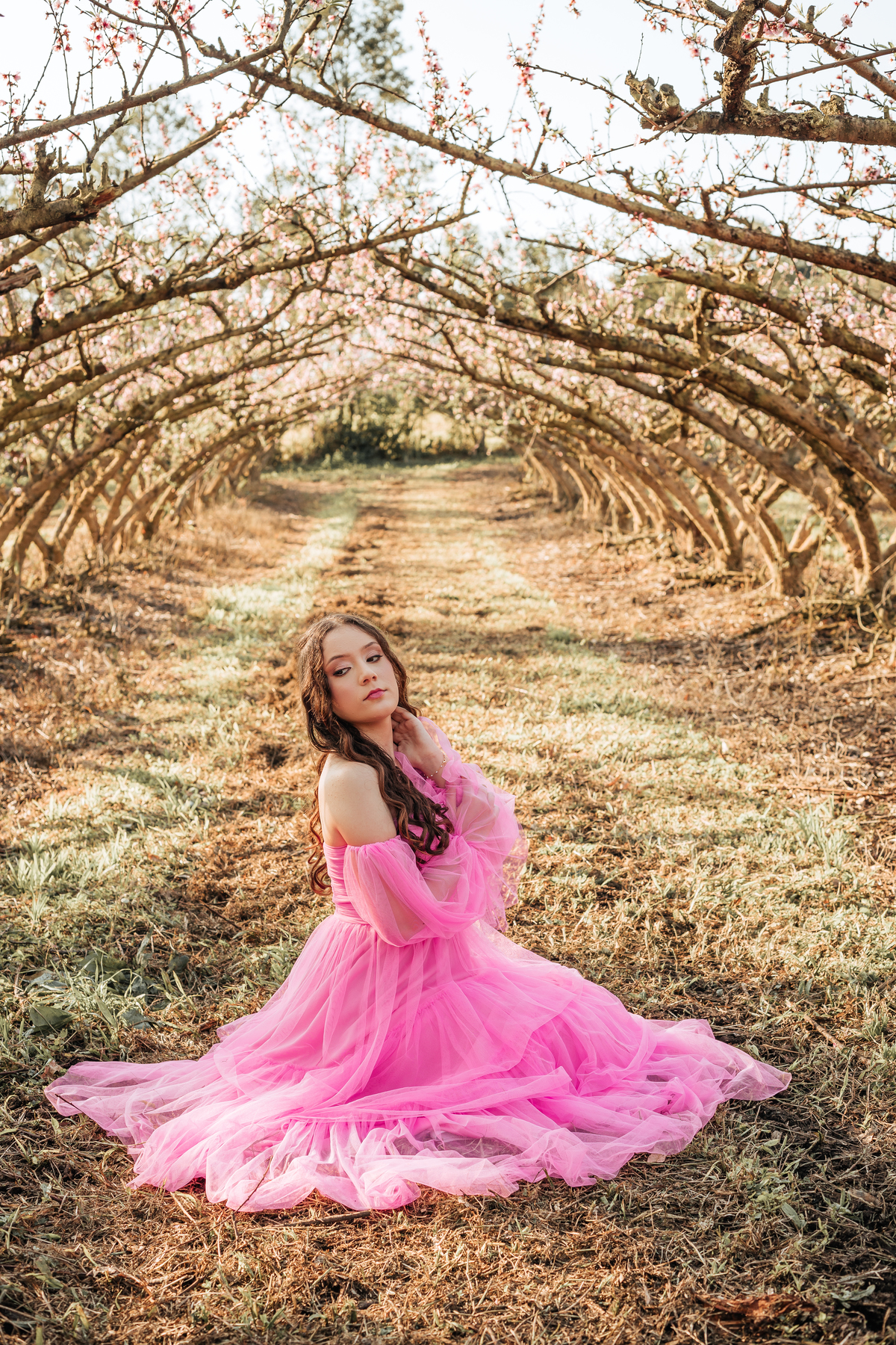 ensaio-de-quinze-anos-em-um-pomar-de-pessegos-em-urussanga-fotografa-de-urussanga-fotografa-de0lauro muller-