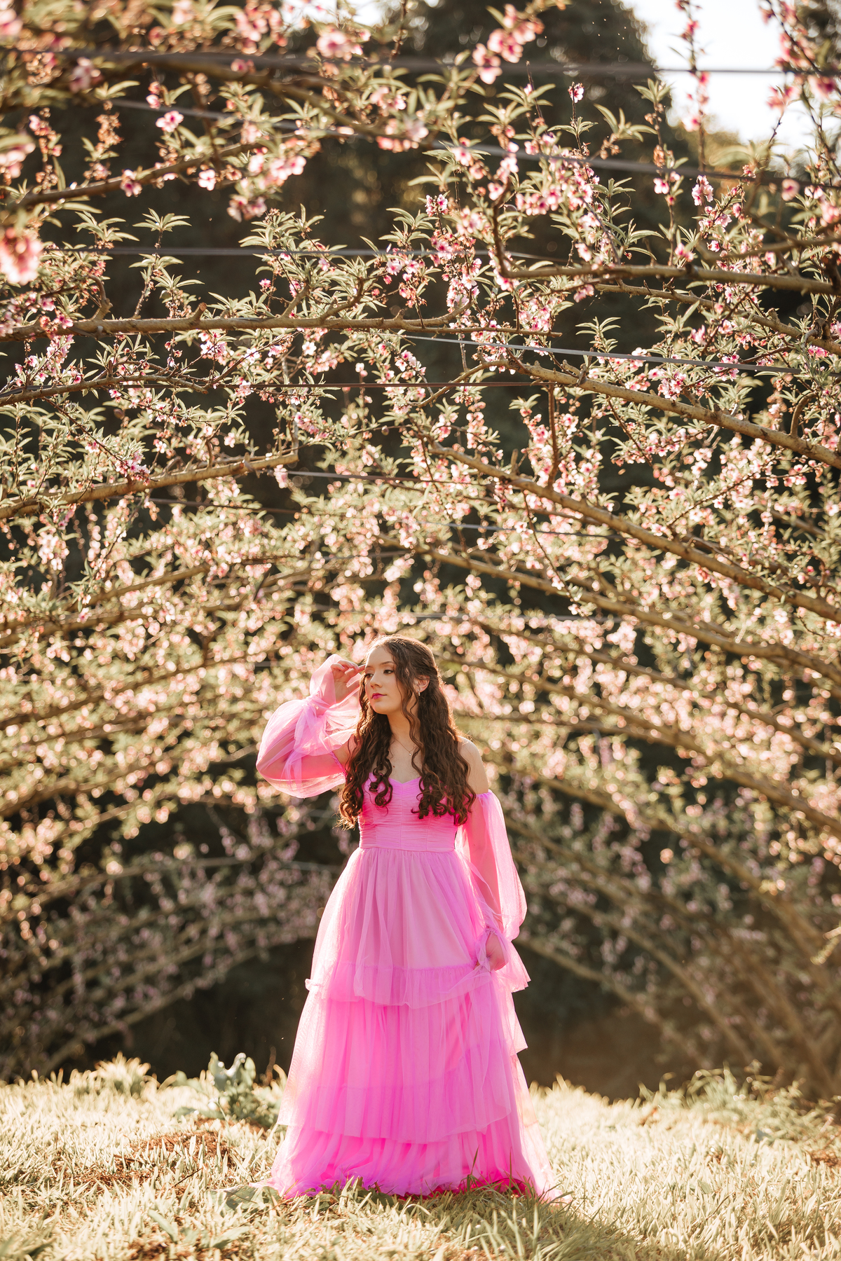 ensaio-de-quinze-anos-em-um-pomar-de-pessegos-em-urussanga-fotografa-de-urussanga-fotografa-de0lauro muller-