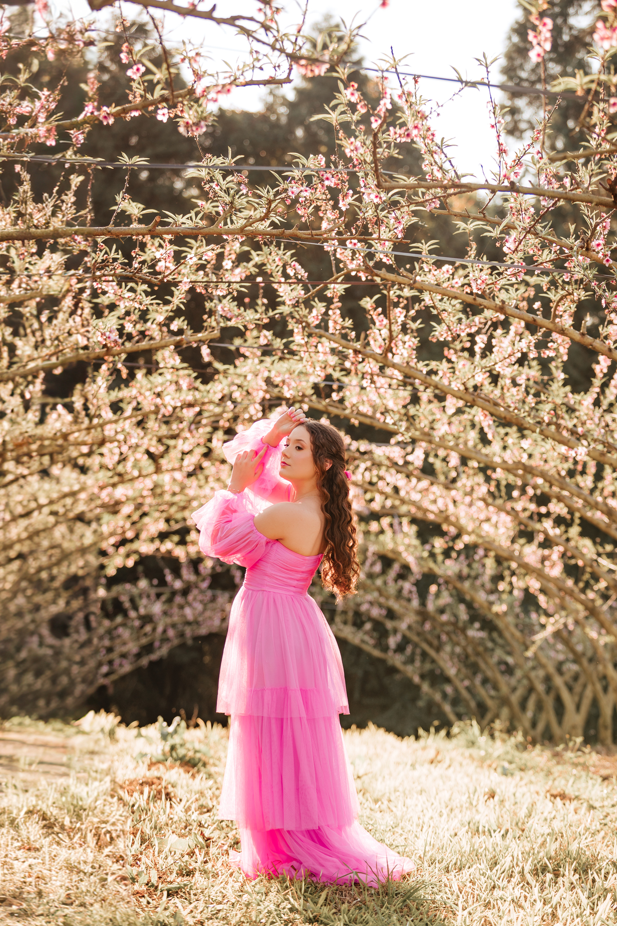 ensaio-de-quinze-anos-em-um-pomar-de-pessegos-em-urussanga-fotografa-de-urussanga-fotografa-de0lauro muller-