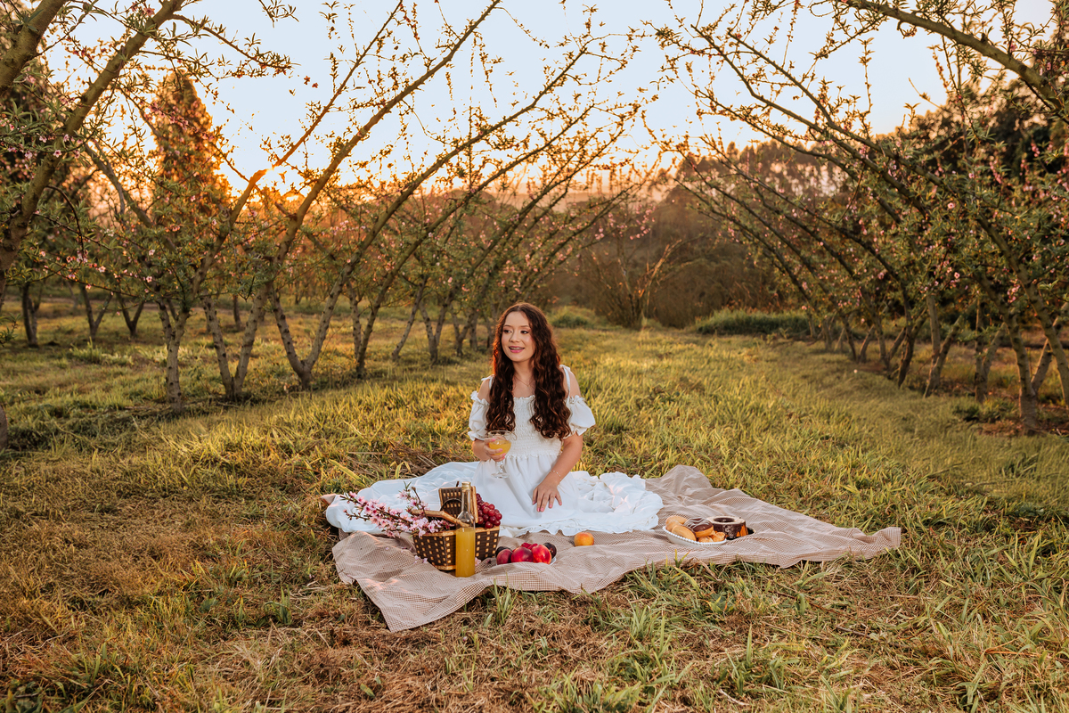 ensaio-de-quinze-anos-em-um-pomar-de-pessegos-em-urussanga-fotografa-de-urussanga-fotografa-de0lauro muller-