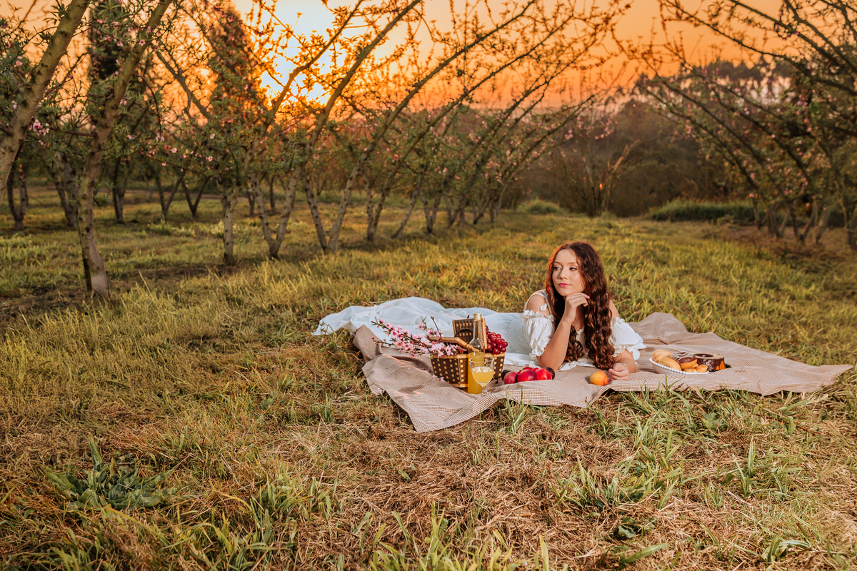 ensaio-de-quinze-anos-em-um-pomar-de-pessegos-em-urussanga-fotografa-de-urussanga-fotografa-de0lauro muller-