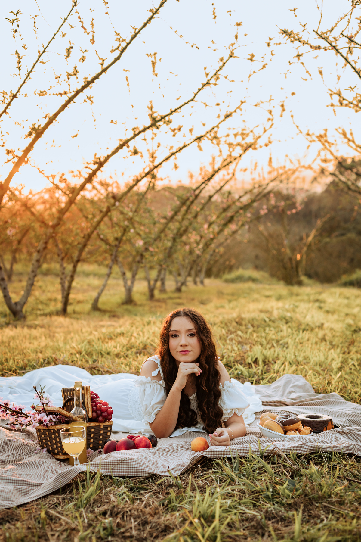ensaio-de-quinze-anos-em-um-pomar-de-pessegos-em-urussanga-fotografa-de-urussanga-fotografa-de0lauro muller-