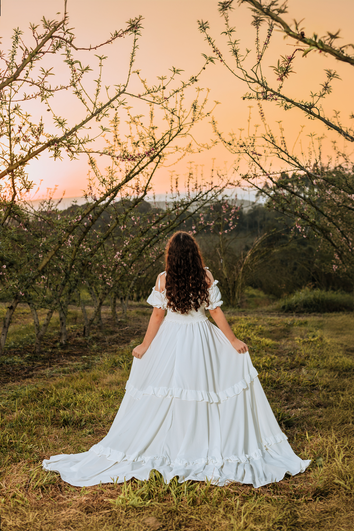 ensaio-de-quinze-anos-em-um-pomar-de-pessegos-em-urussanga-fotografa-de-urussanga-fotografa-de0lauro muller-