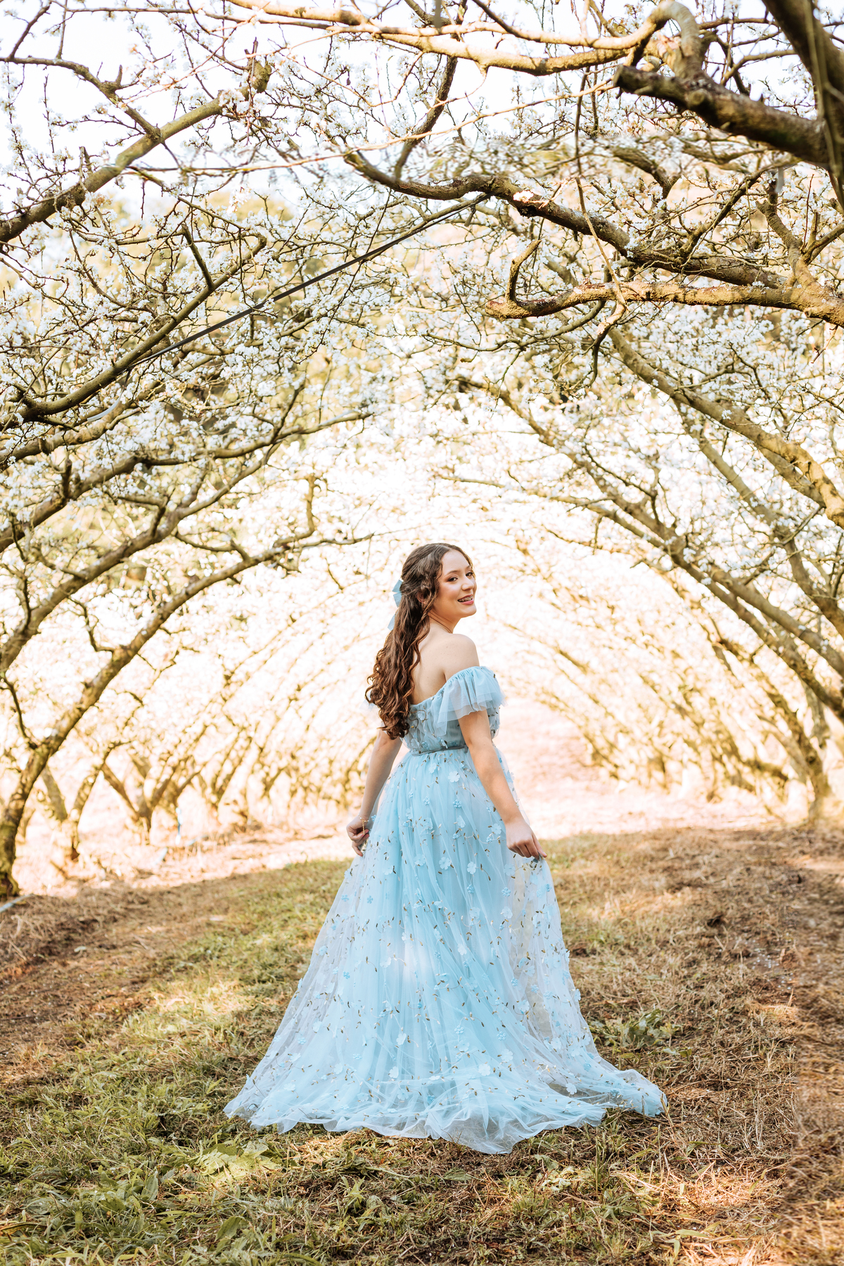 ensaio-de-quinze-anos-em-um-pomar-de-pessegos-em-urussanga-fotografa-de-urussanga-fotografa-de0lauro muller-