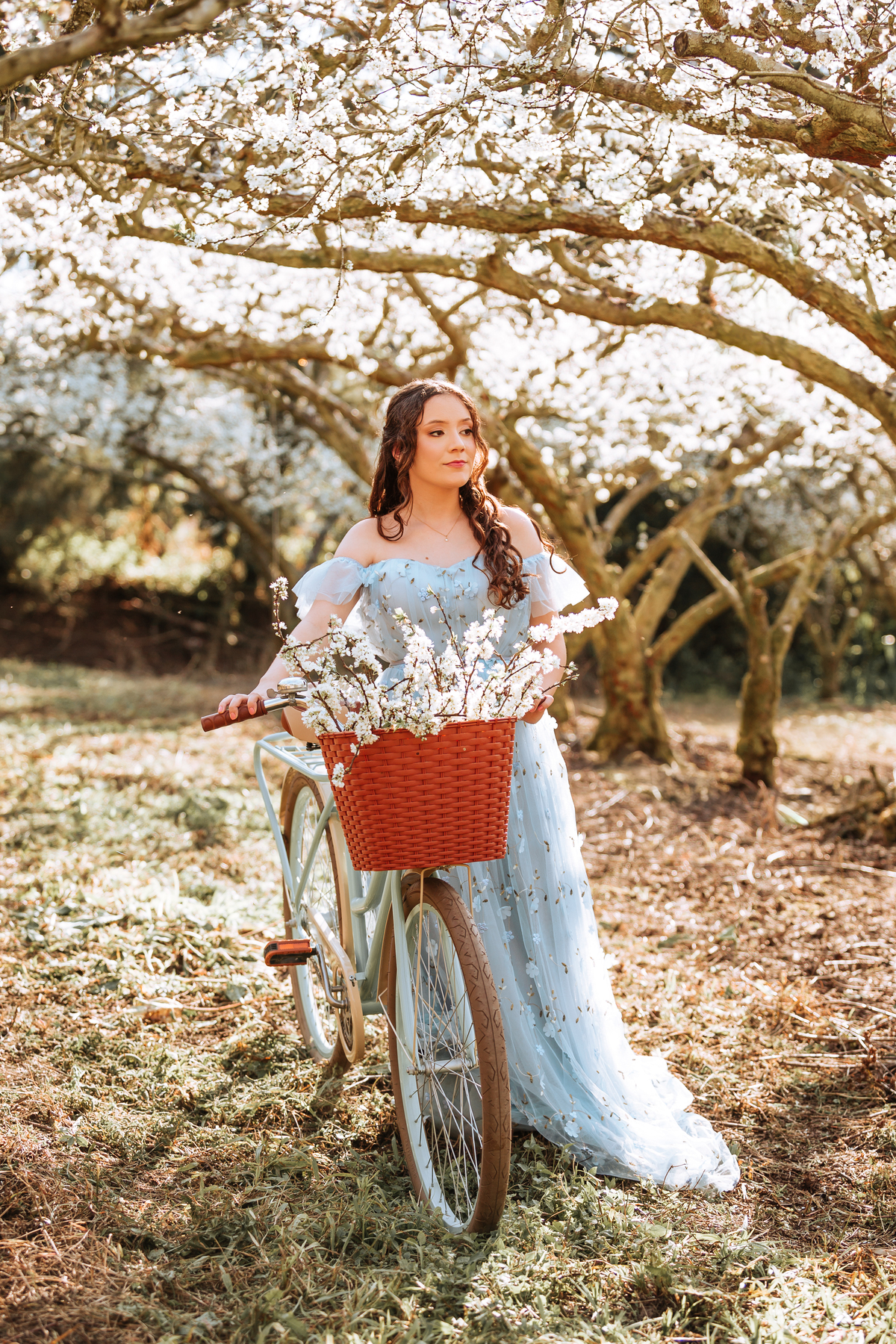 ensaio-de-quinze-anos-em-um-pomar-de-pessegos-em-urussanga-fotografa-de-urussanga-fotografa-de0lauro muller-