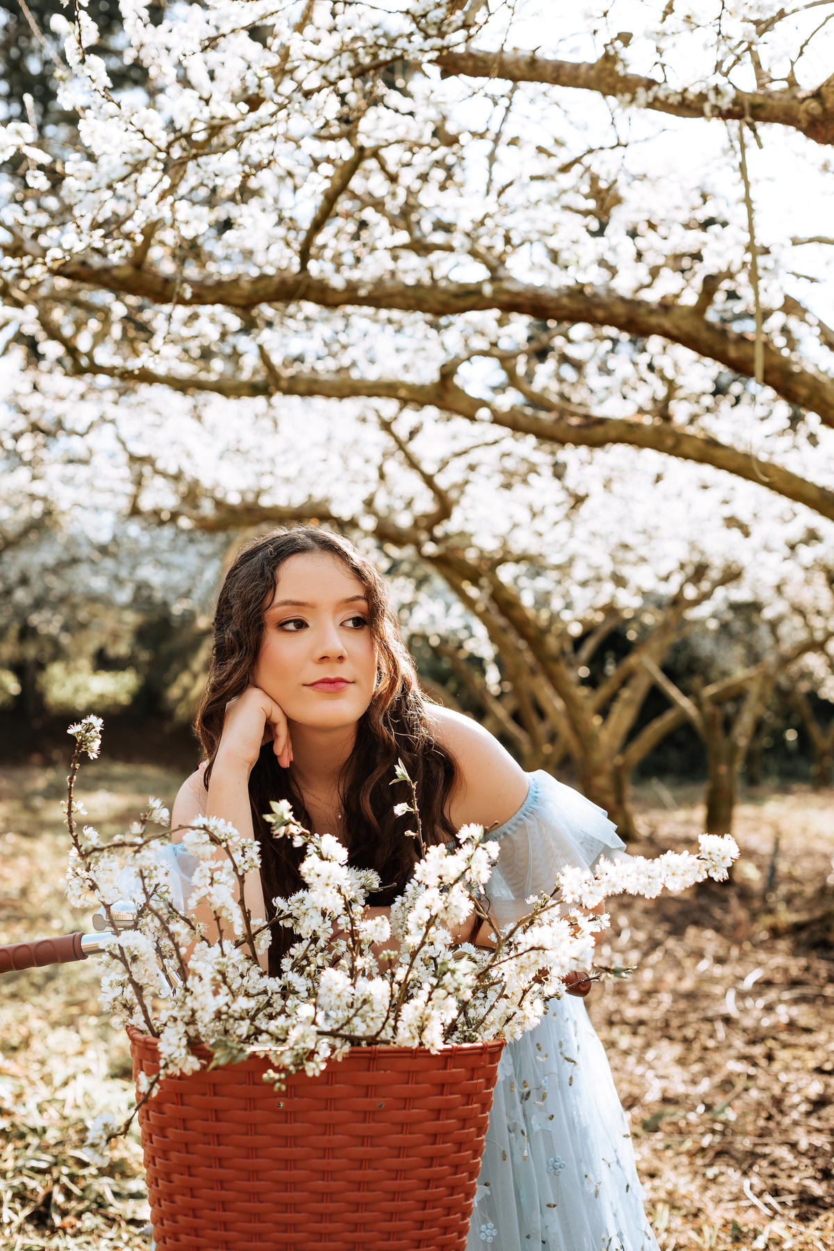 ensaio-de-quinze-anos-em-um-pomar-de-pessegos-em-urussanga-fotografa-de-urussanga-fotografa-de0lauro muller-