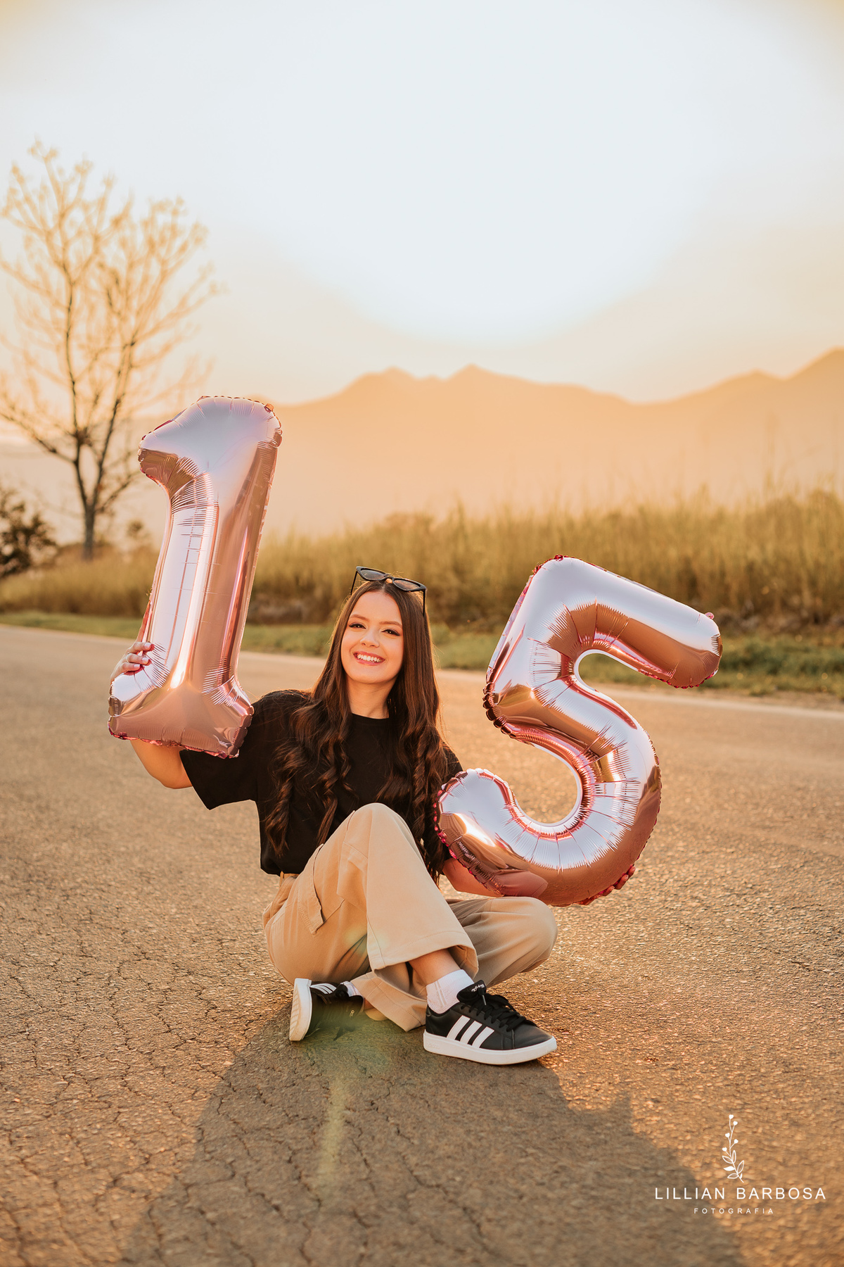 ensaio-de-quinze-anos-em-nova-veneza-vestidos-de-princesa-vestido-azul-fotografa-de-nova-venza-fotografa-de-lauro-muller-
