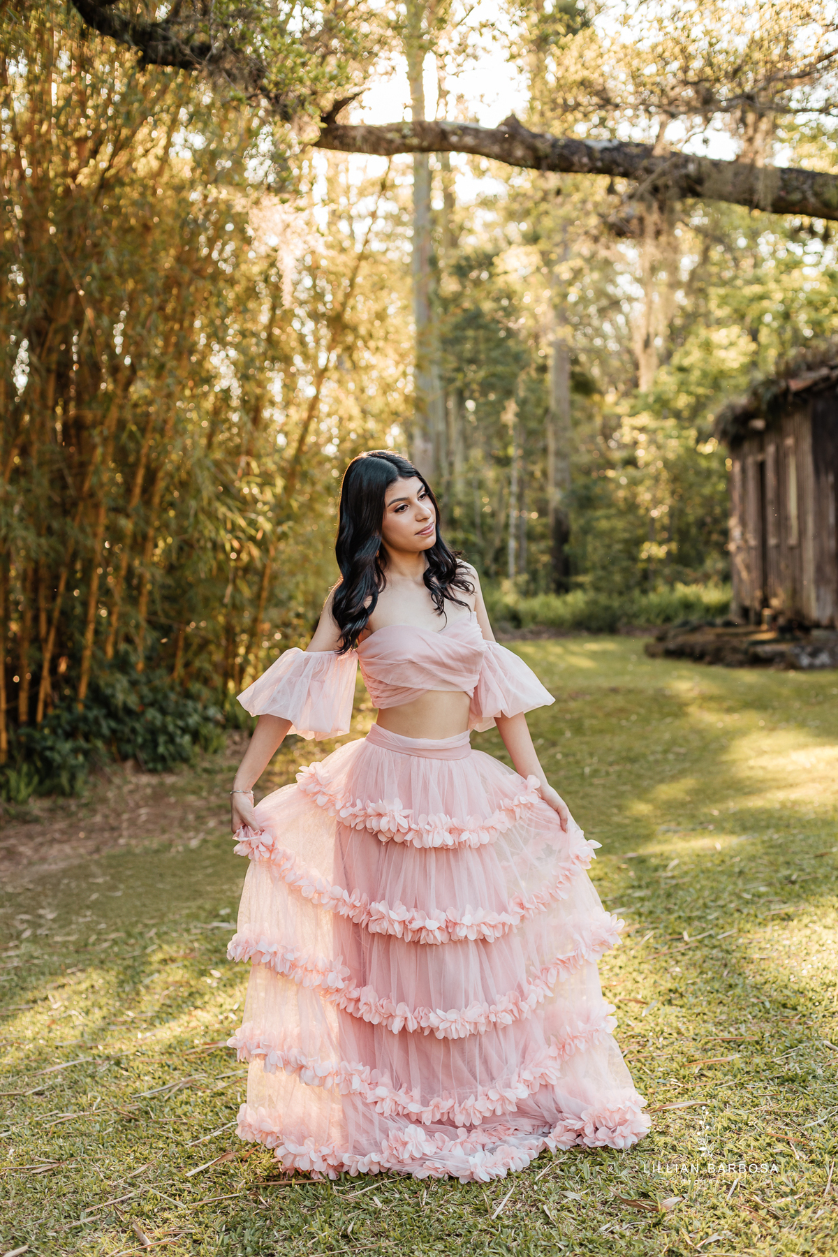 ensaio-de-quinze-anos-no-castelo-britanico-santa-catarina-lillian-barbosa-fotografia--de-serra-do-rio-do-rastro-fotografa-de-lauro-muller-