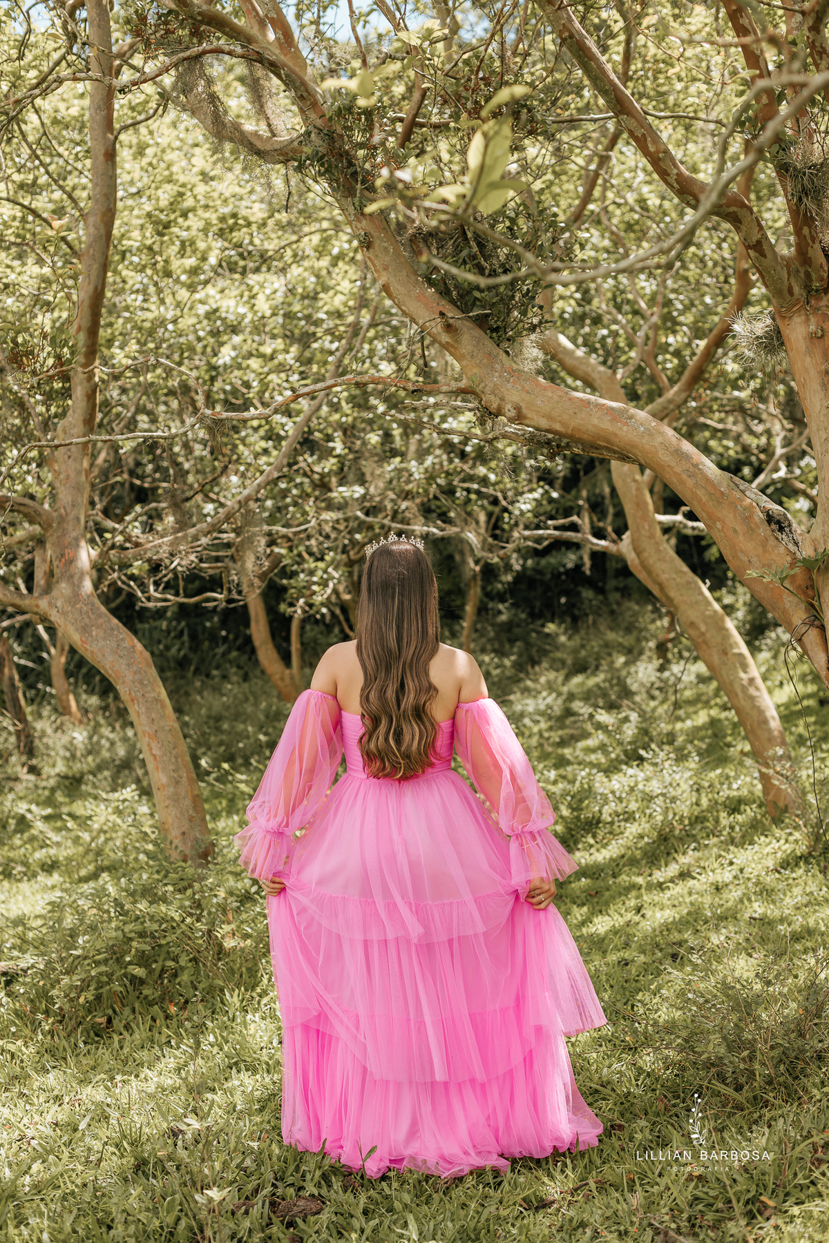 Ensaio-de-quinze-anos-santa-catarina-lillian-barbosa-fotografa-de-lauro-muller- 