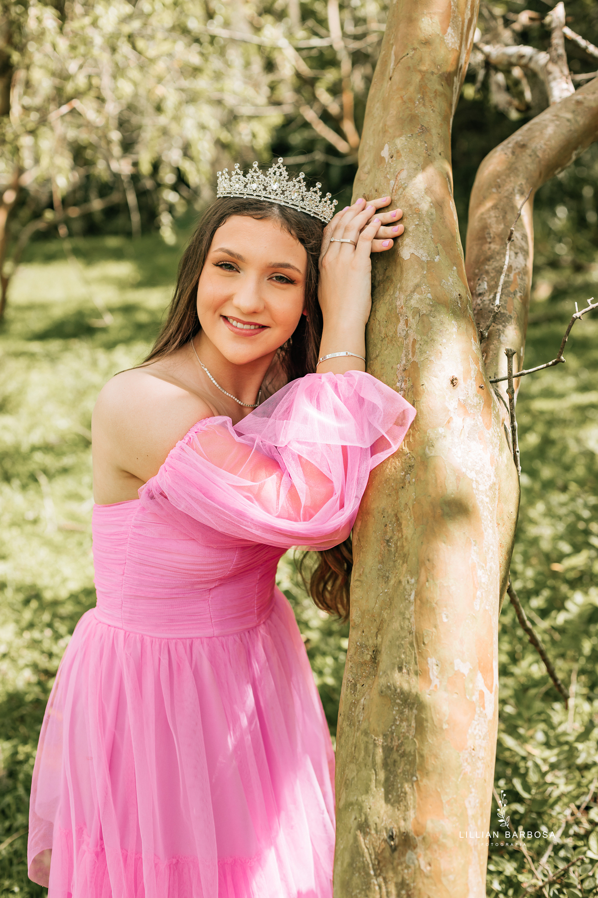 Ensaio-de-quinze-anos-santa-catarina-lillian-barbosa-fotografa-de-lauro-muller- 