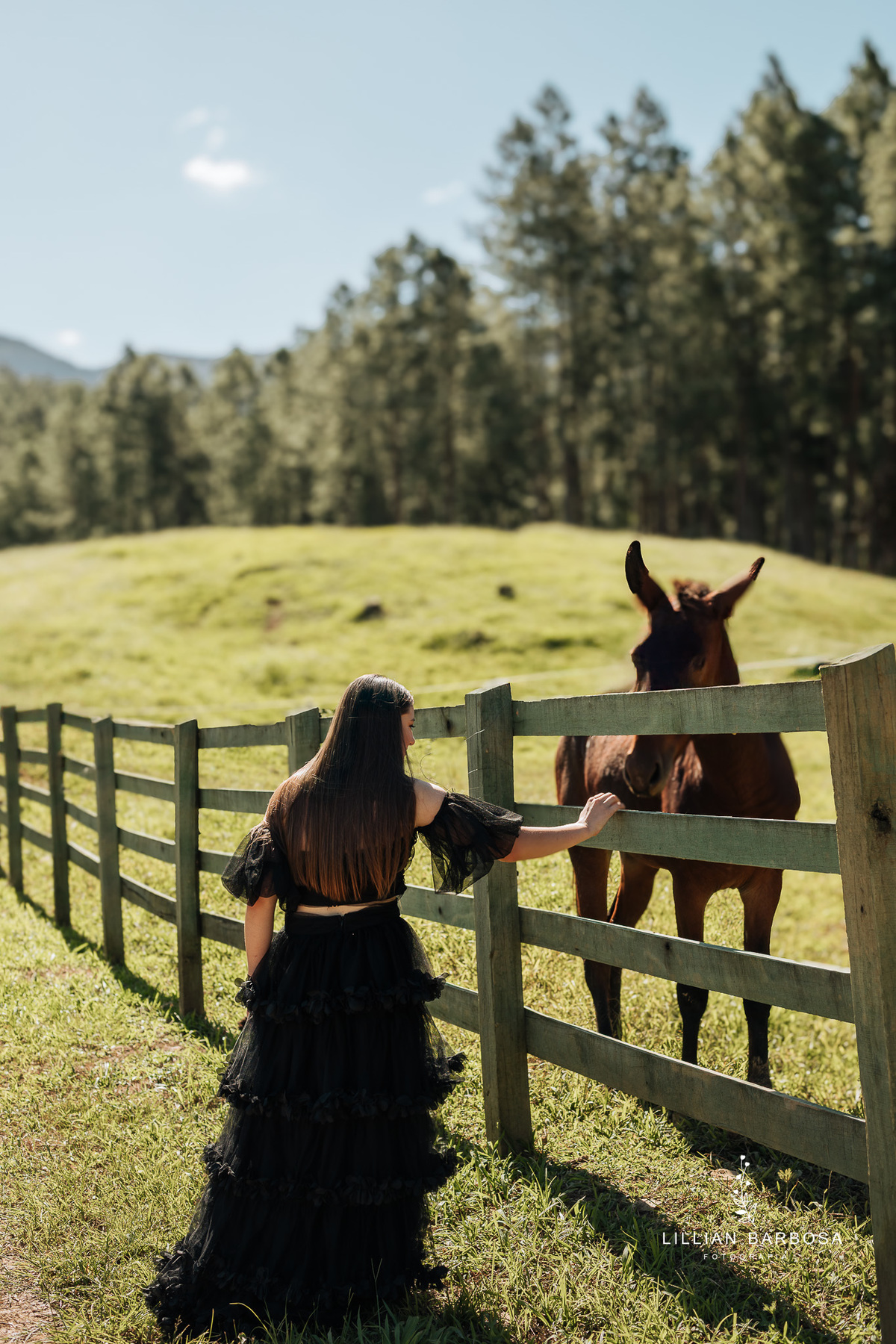 ensaio-de-quinze-anos-no-rio-hipolito-ensaio-em-orleans-fotografa-de-orleans-fotografa-de-j-lauro mulle