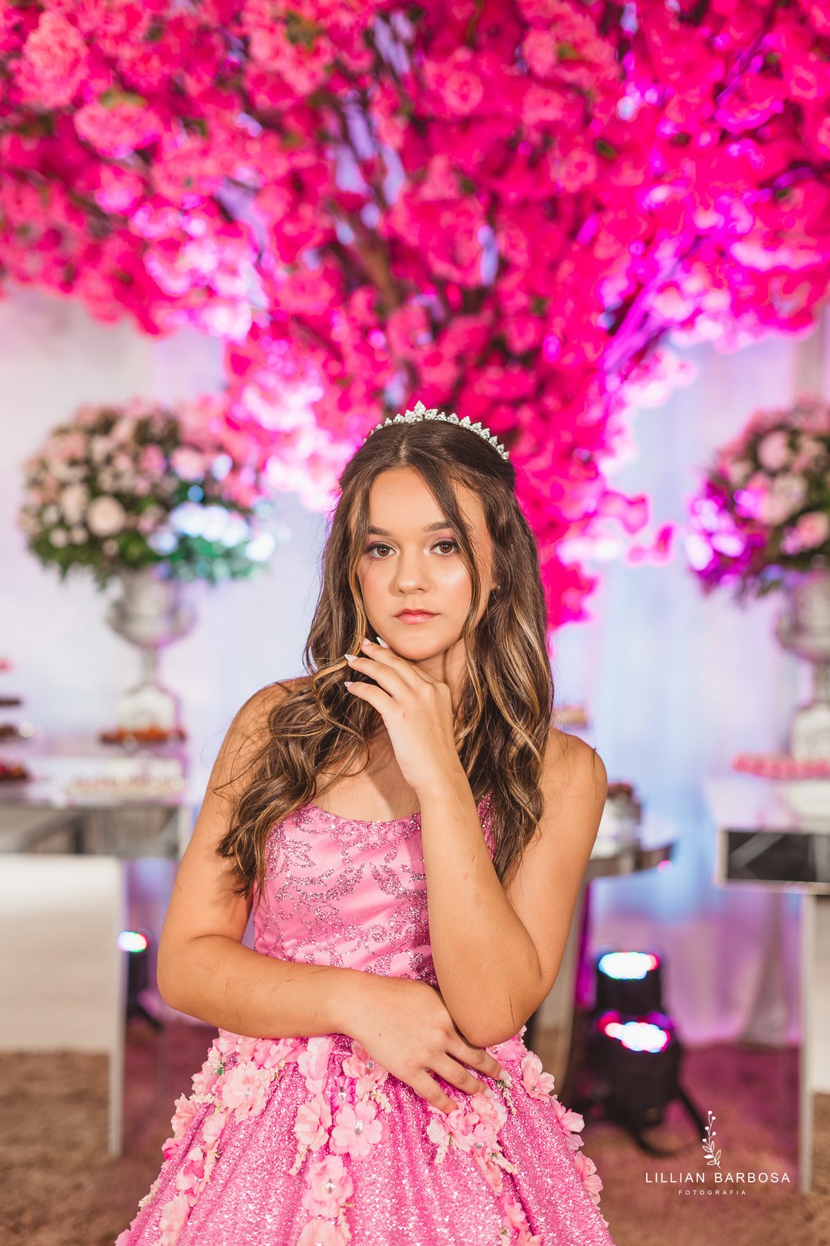 festa-de-15-anos-lillian-barbosa
