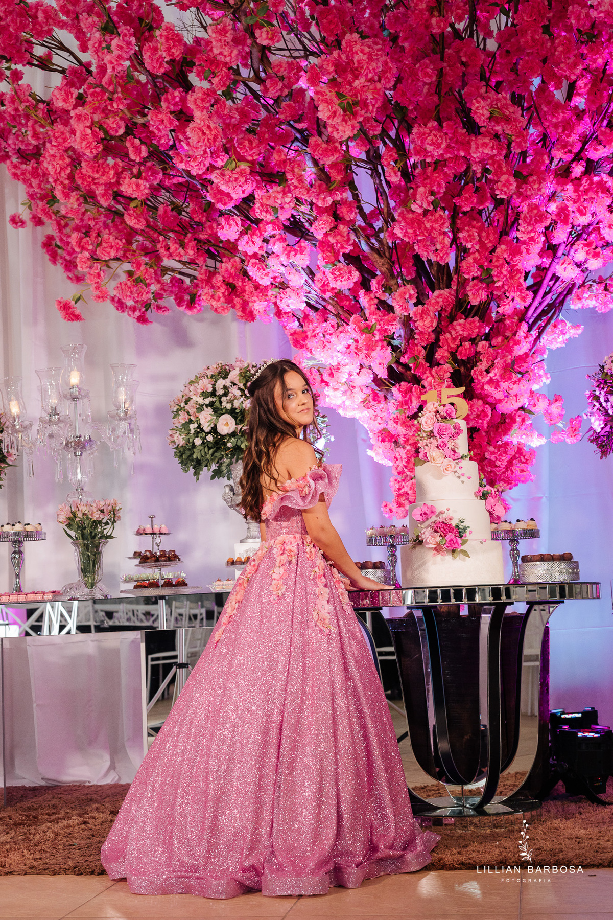 festa-de-15-anos-lillian-barbosa