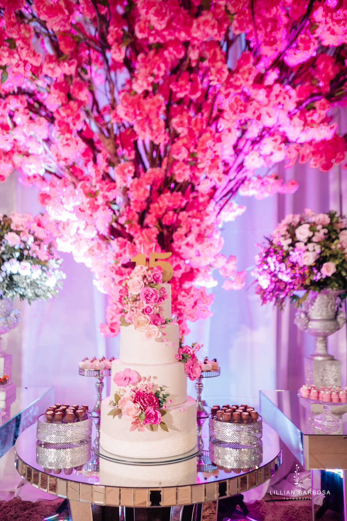 festa-de-15-anos-lillian-barbosa