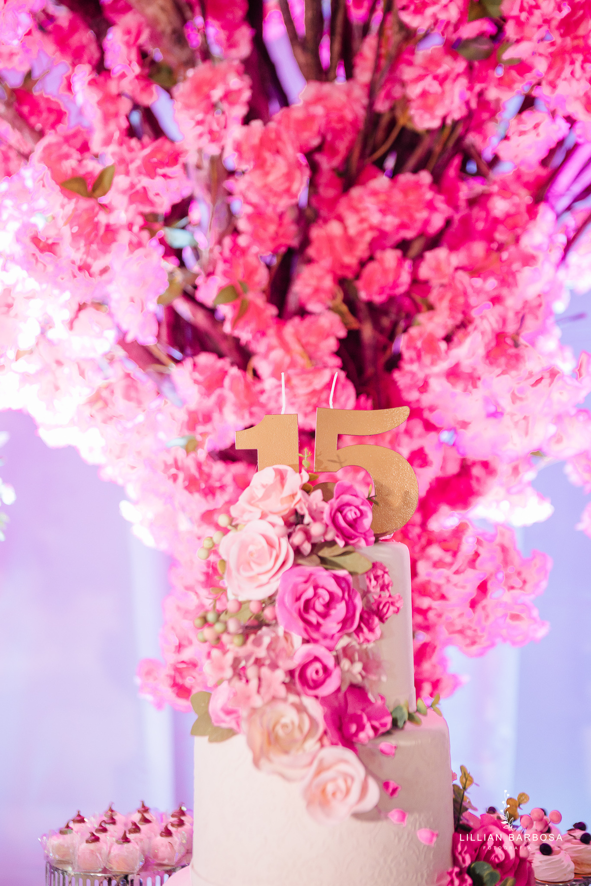 festa-de-15-anos-lillian-barbosa