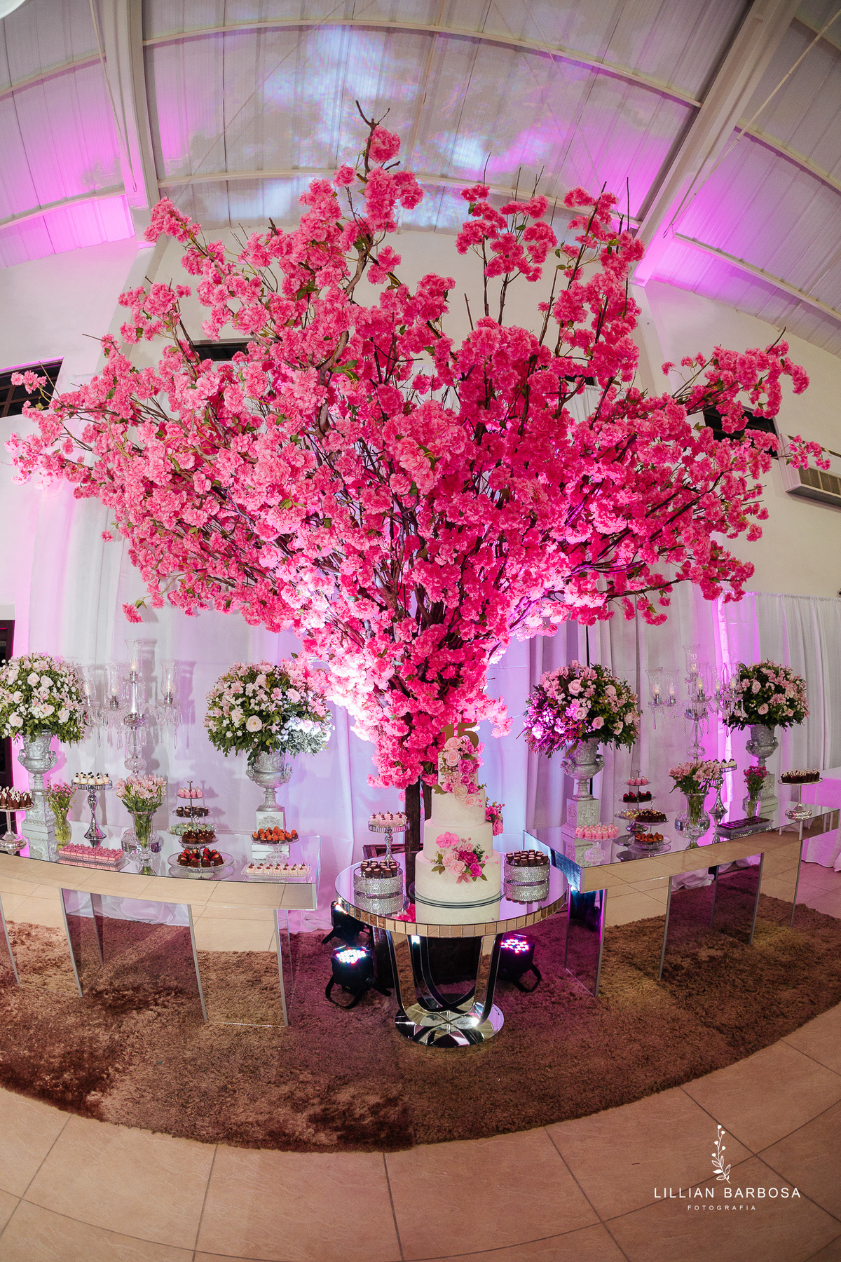 festa-de-15-anos-lillian-barbosa