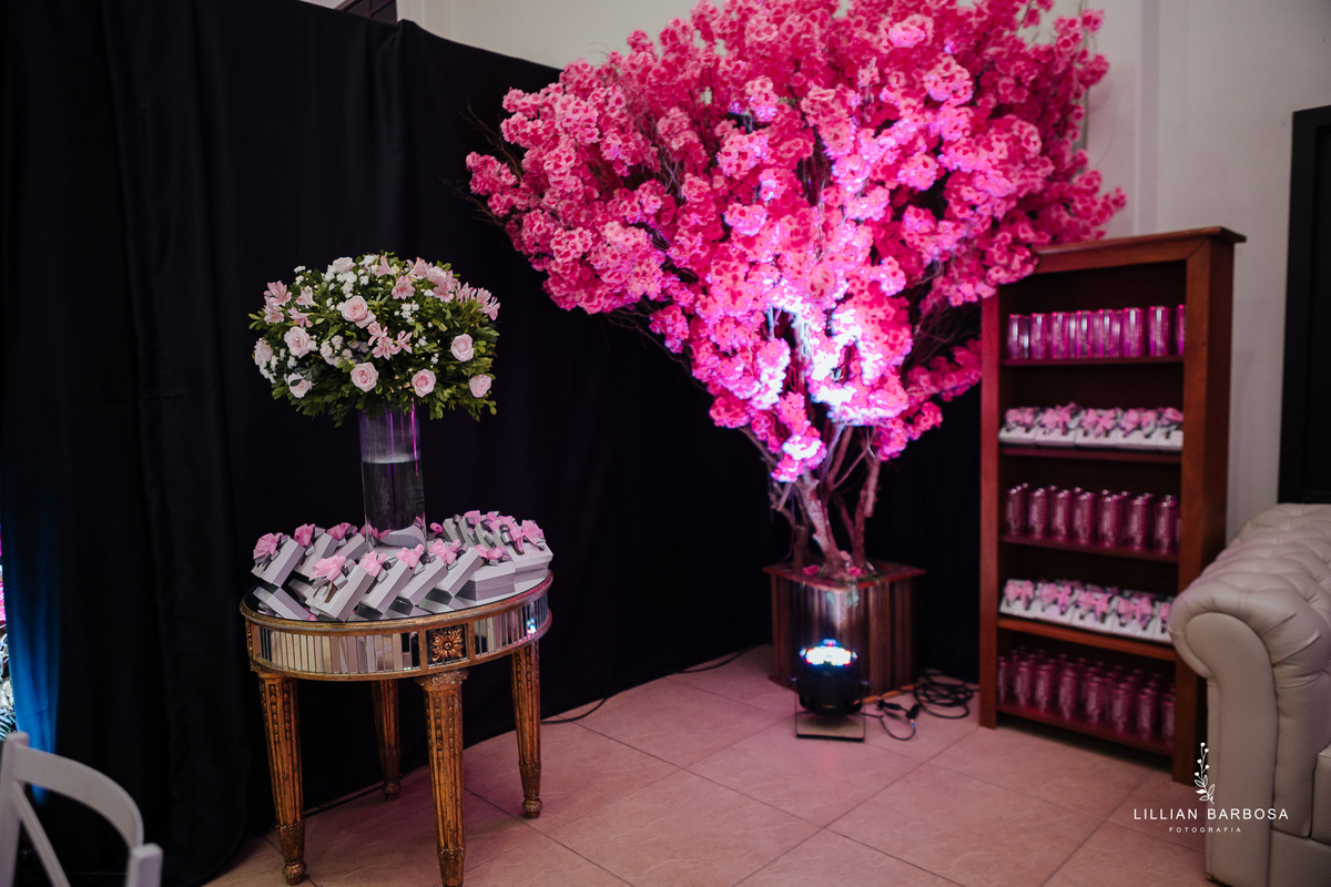 festa-de-15-anos-lillian-barbosa