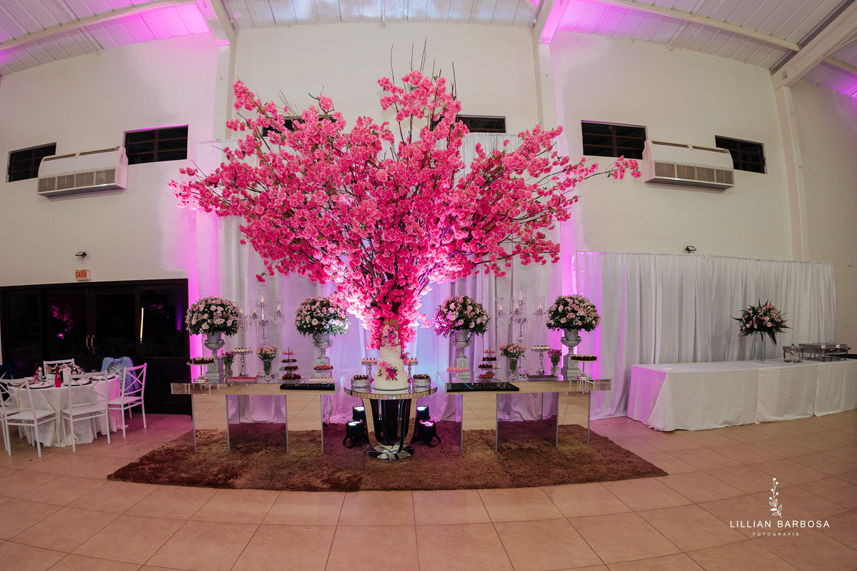 festa-de-15-anos-lillian-barbosa