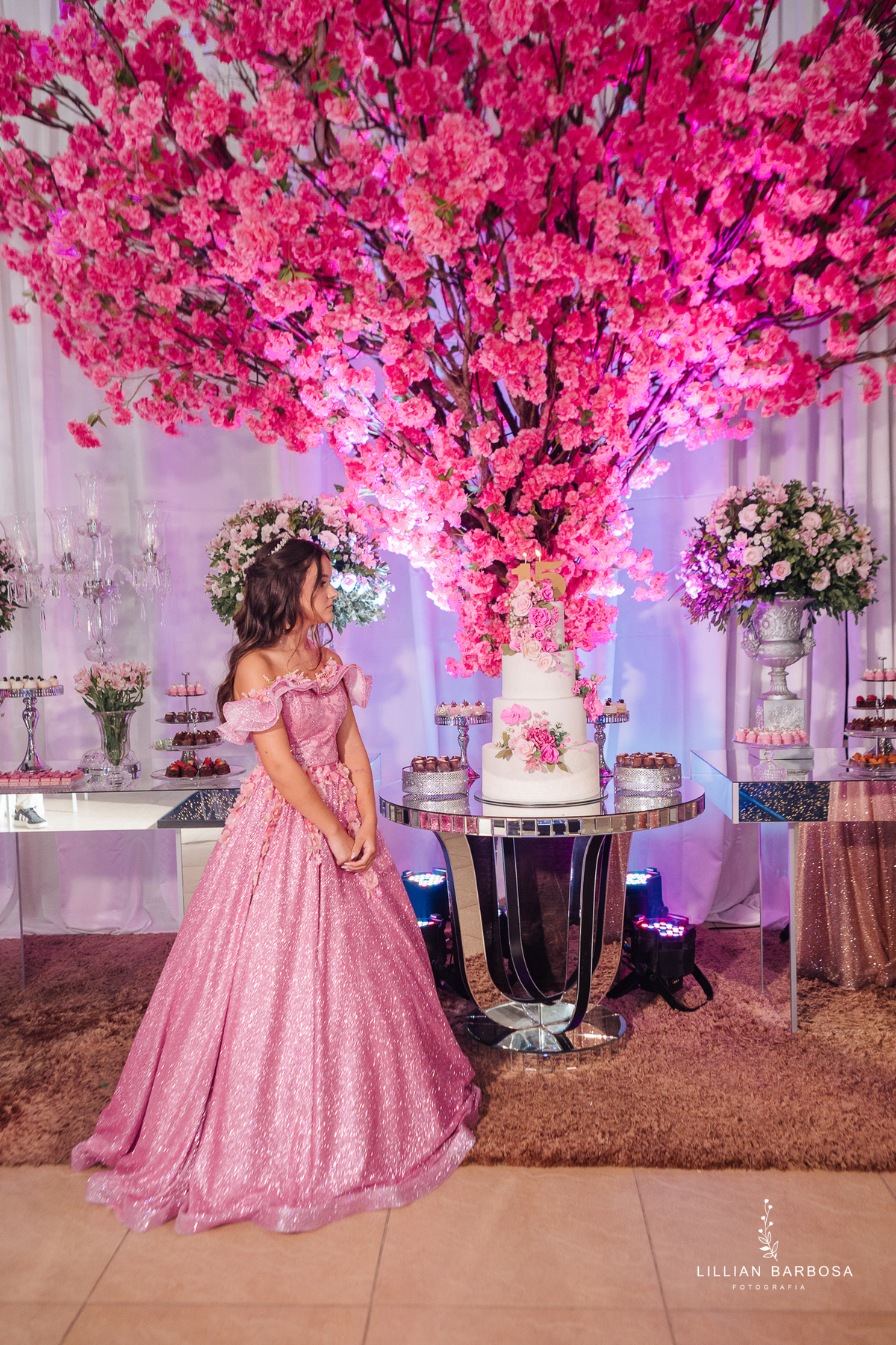 festa-de-15-anos-lillian-barbosa