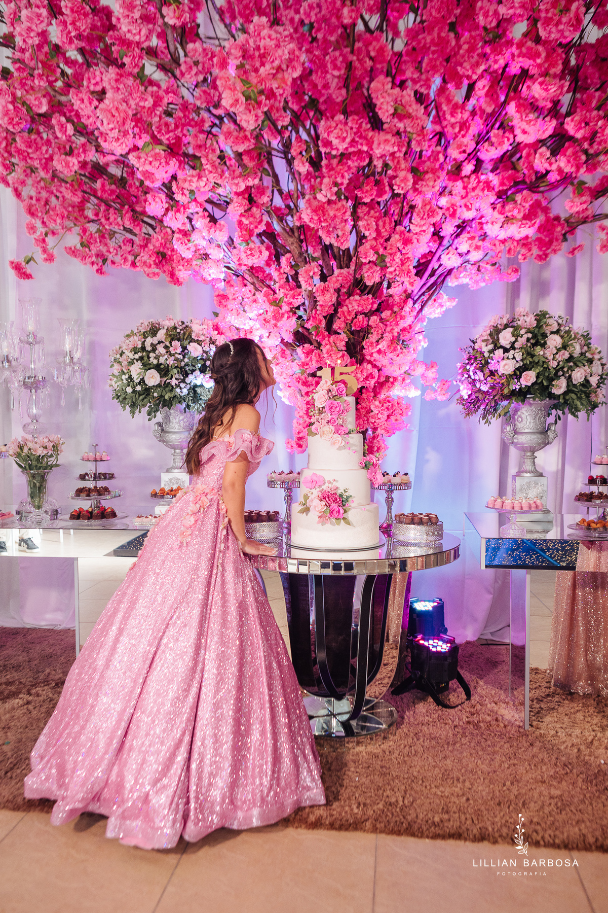 festa-de-15-anos-lillian-barbosa