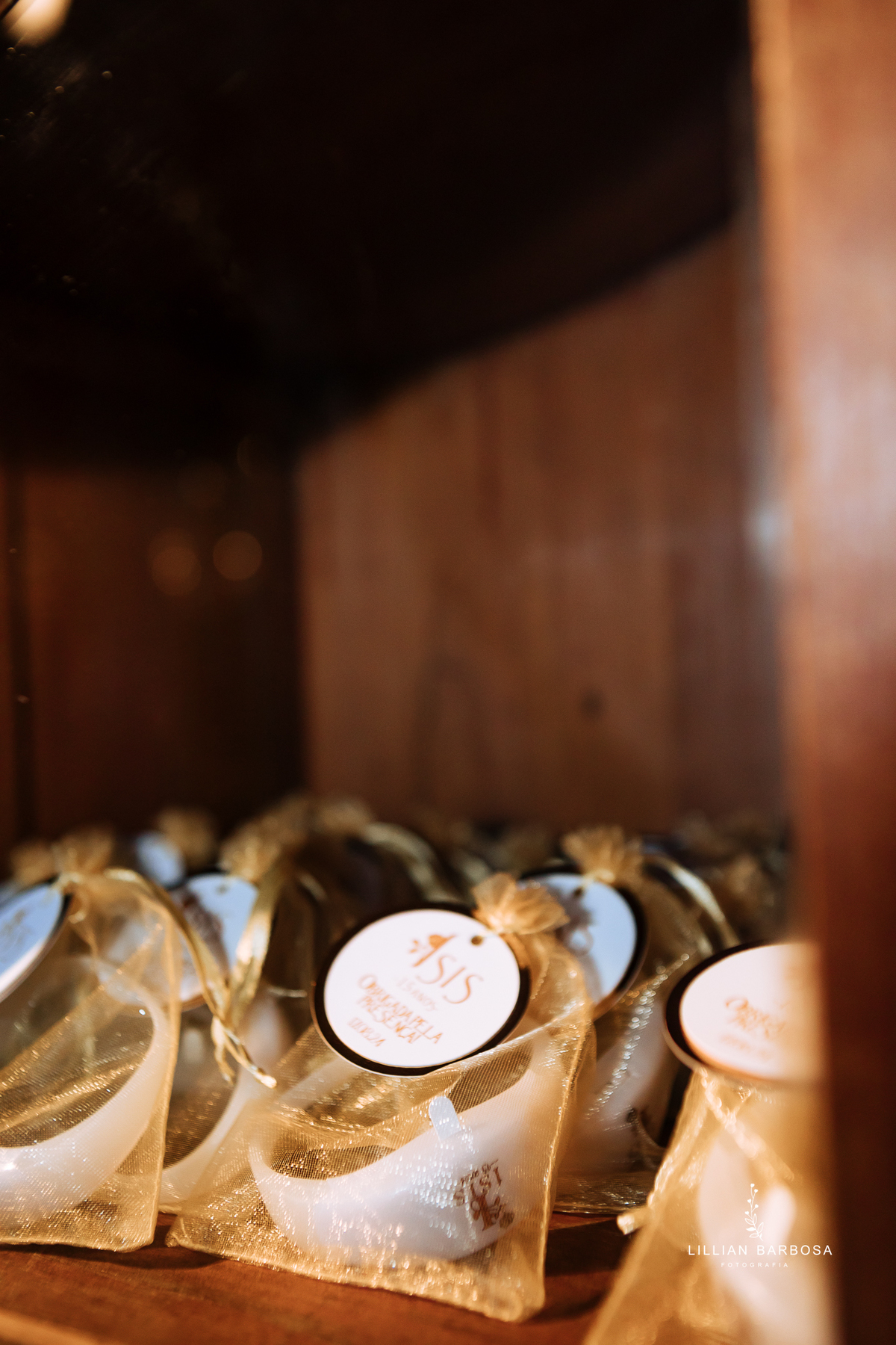 festa-de-15-anos-lillian-barbosa