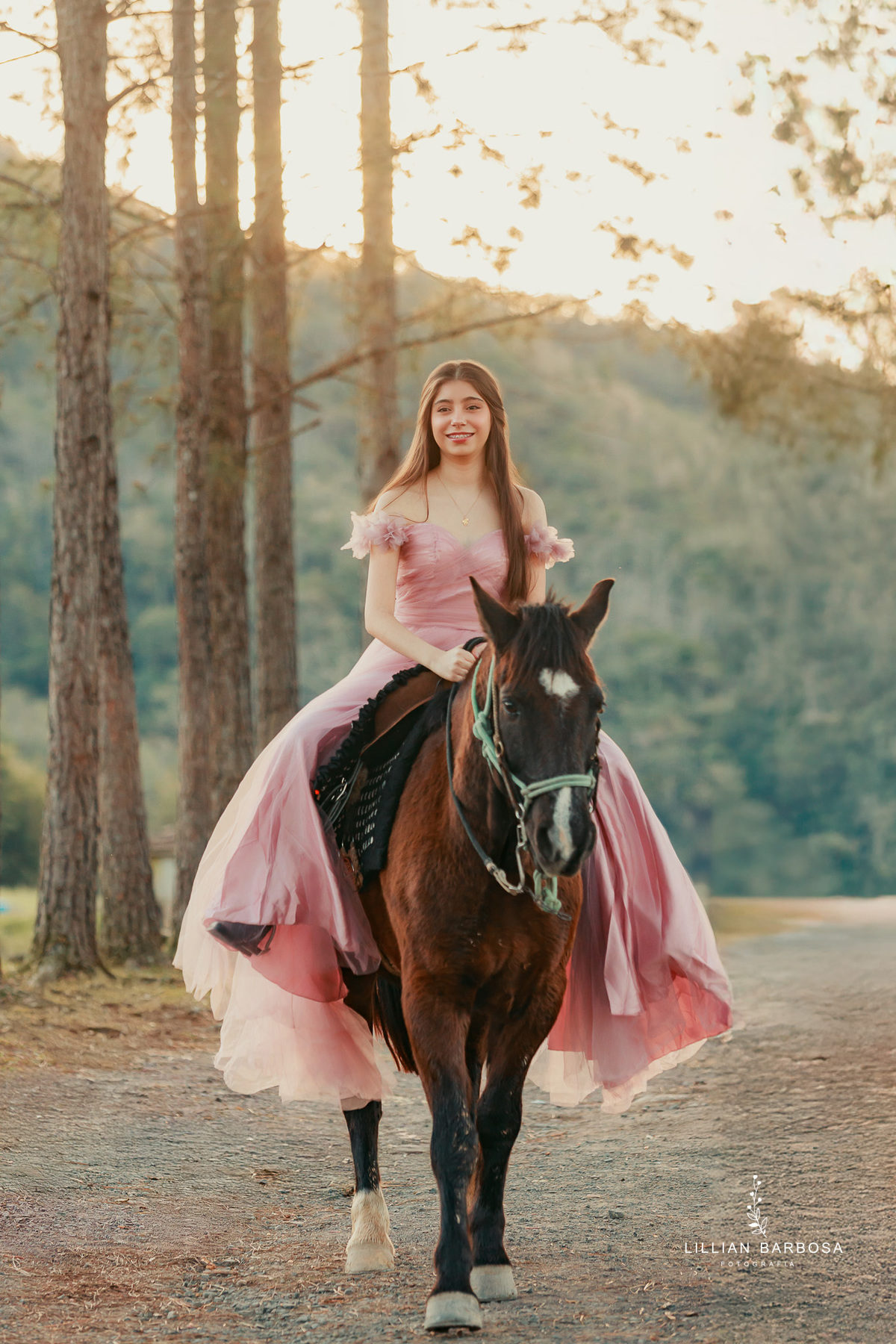 book-de-15-anos-lillian-barbosa