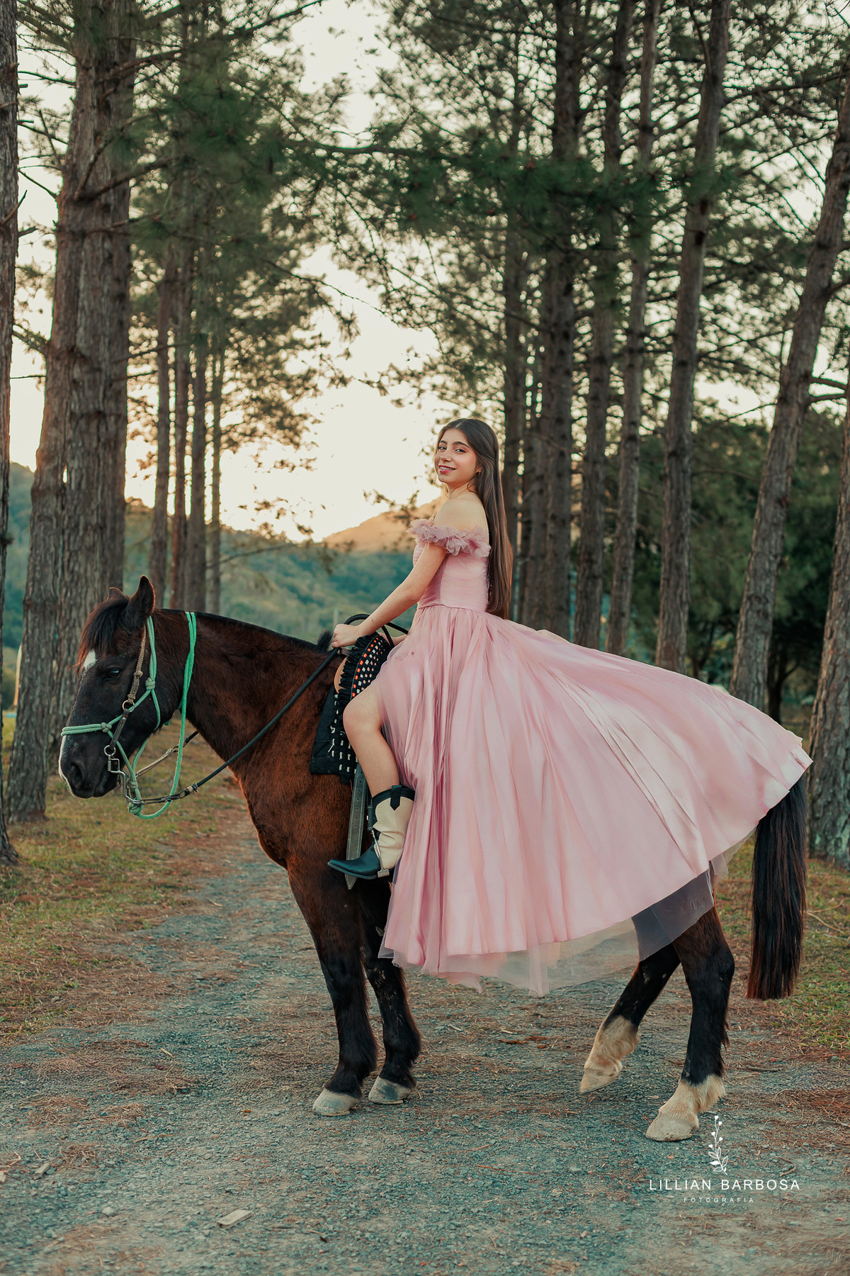 book-de-15-anos-lillian-barbosa