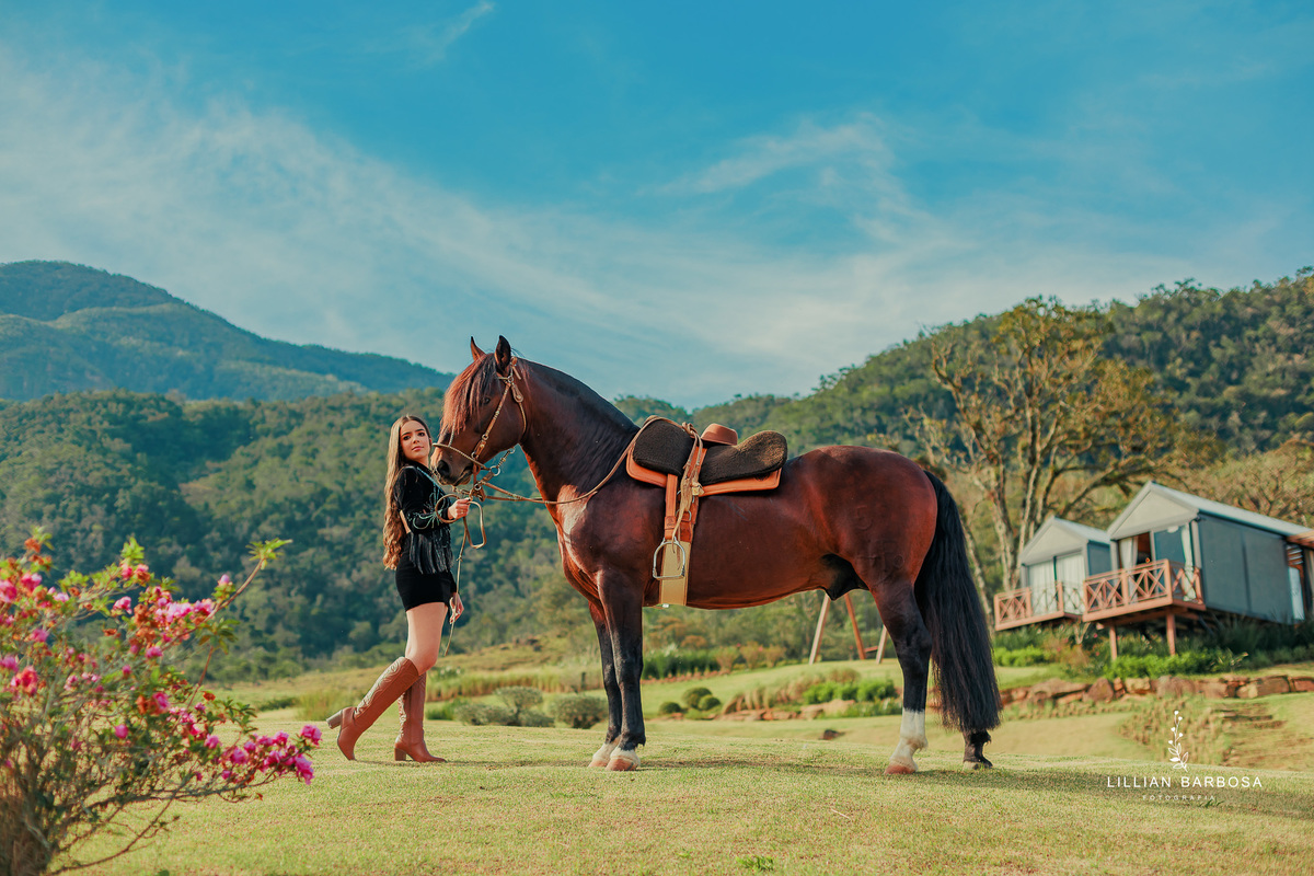 Book-de-15-anos-lillian-barbosa