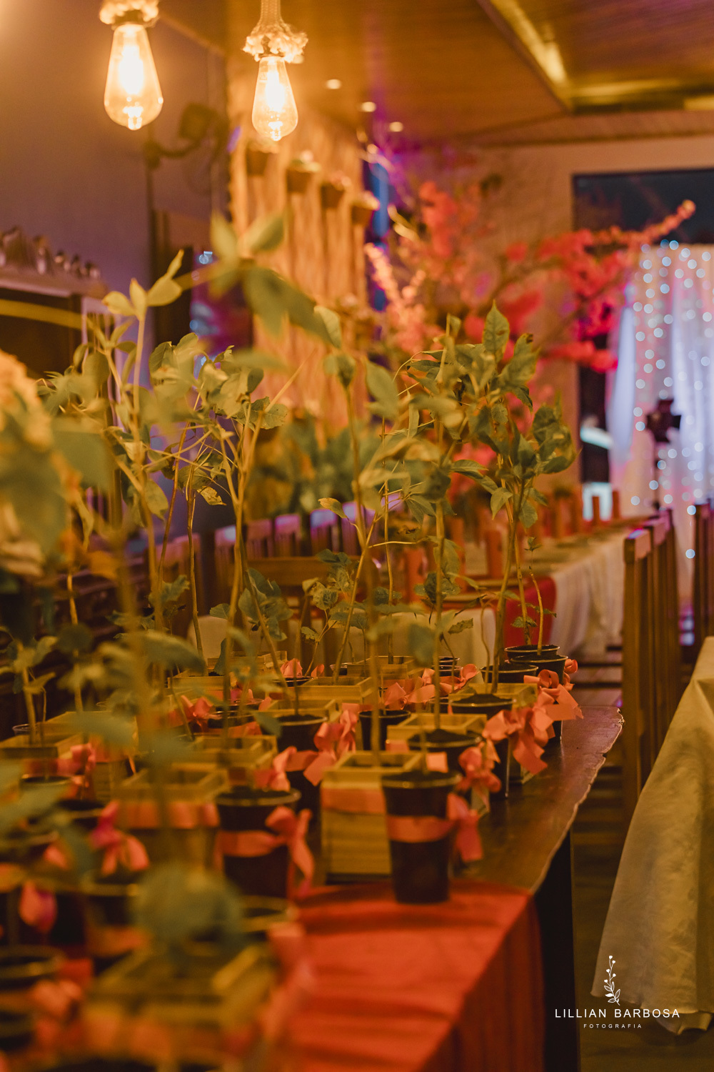 festa-de-15-anos-lillian-barbosa